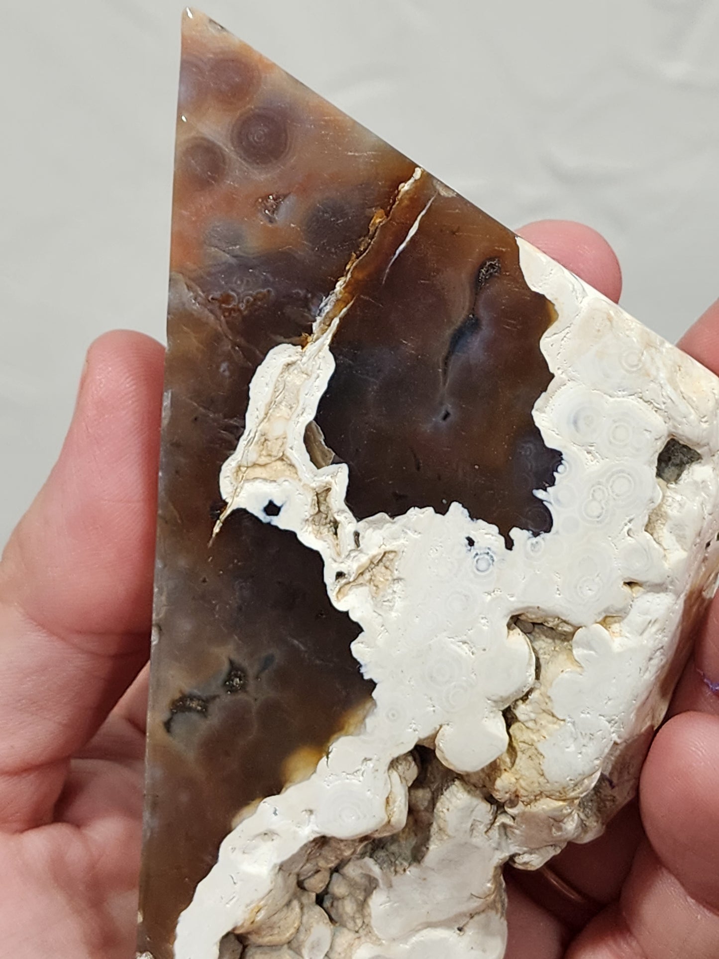 8th vein ocean jasper