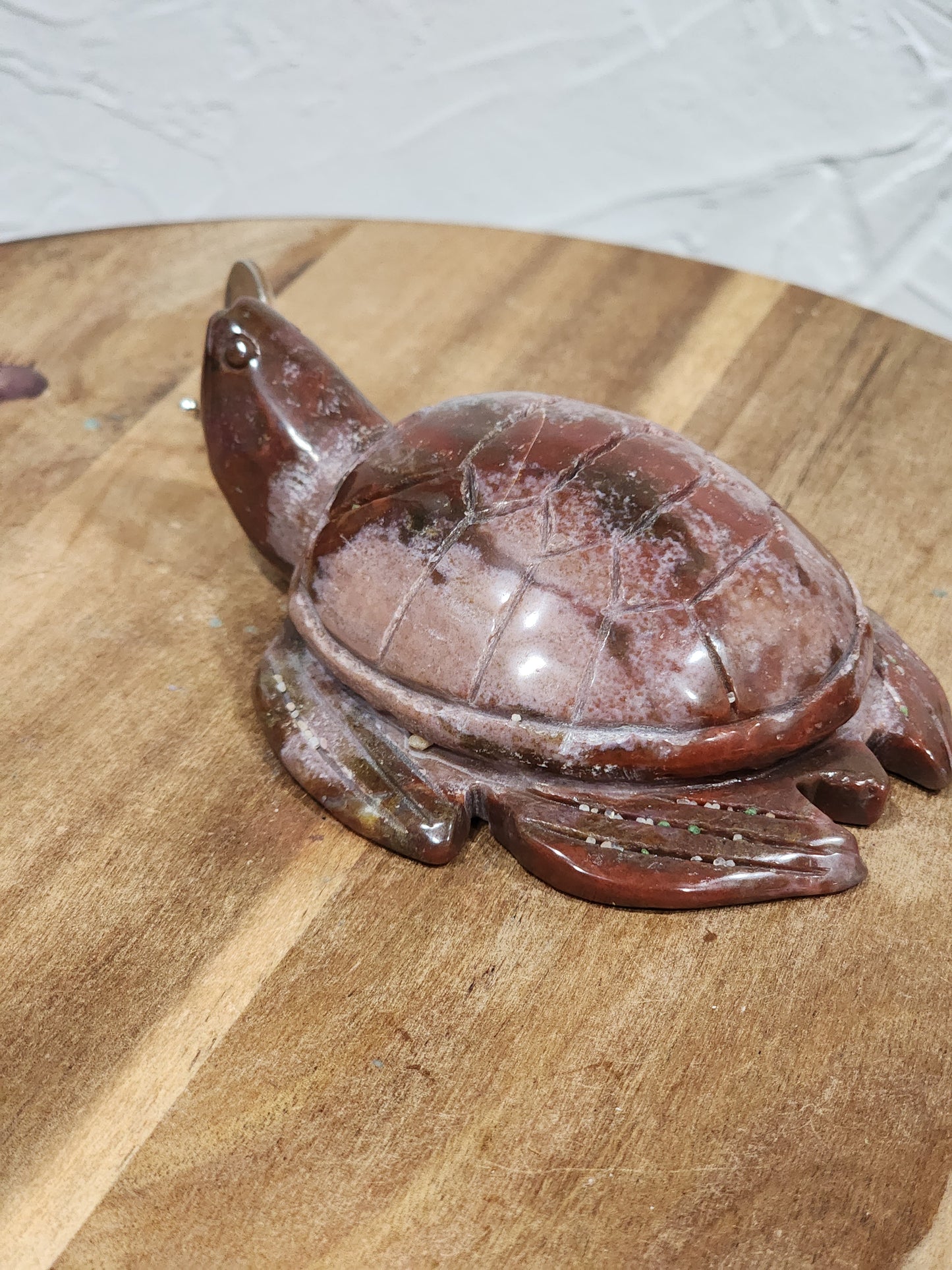 Ocean jasper turtle