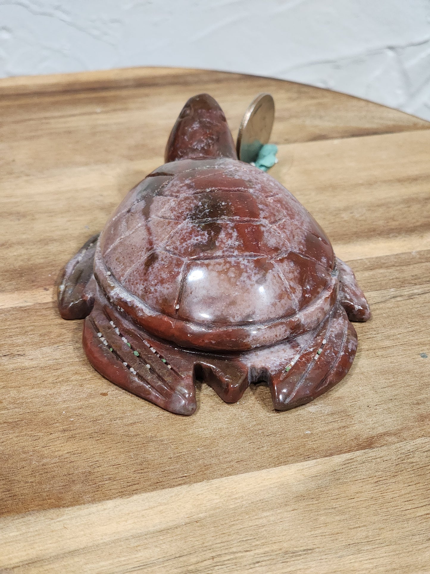 Ocean jasper turtle