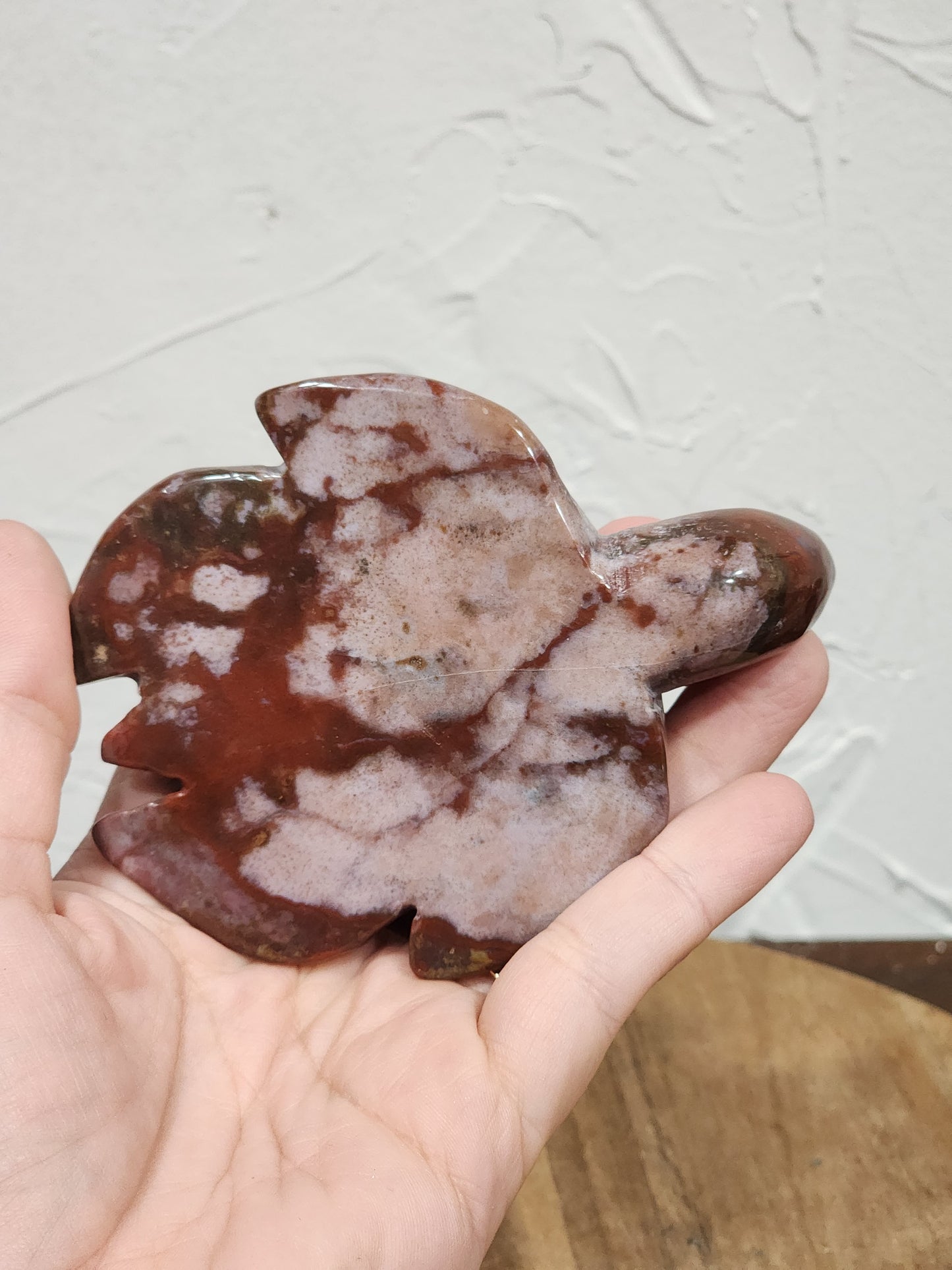 Ocean jasper turtle