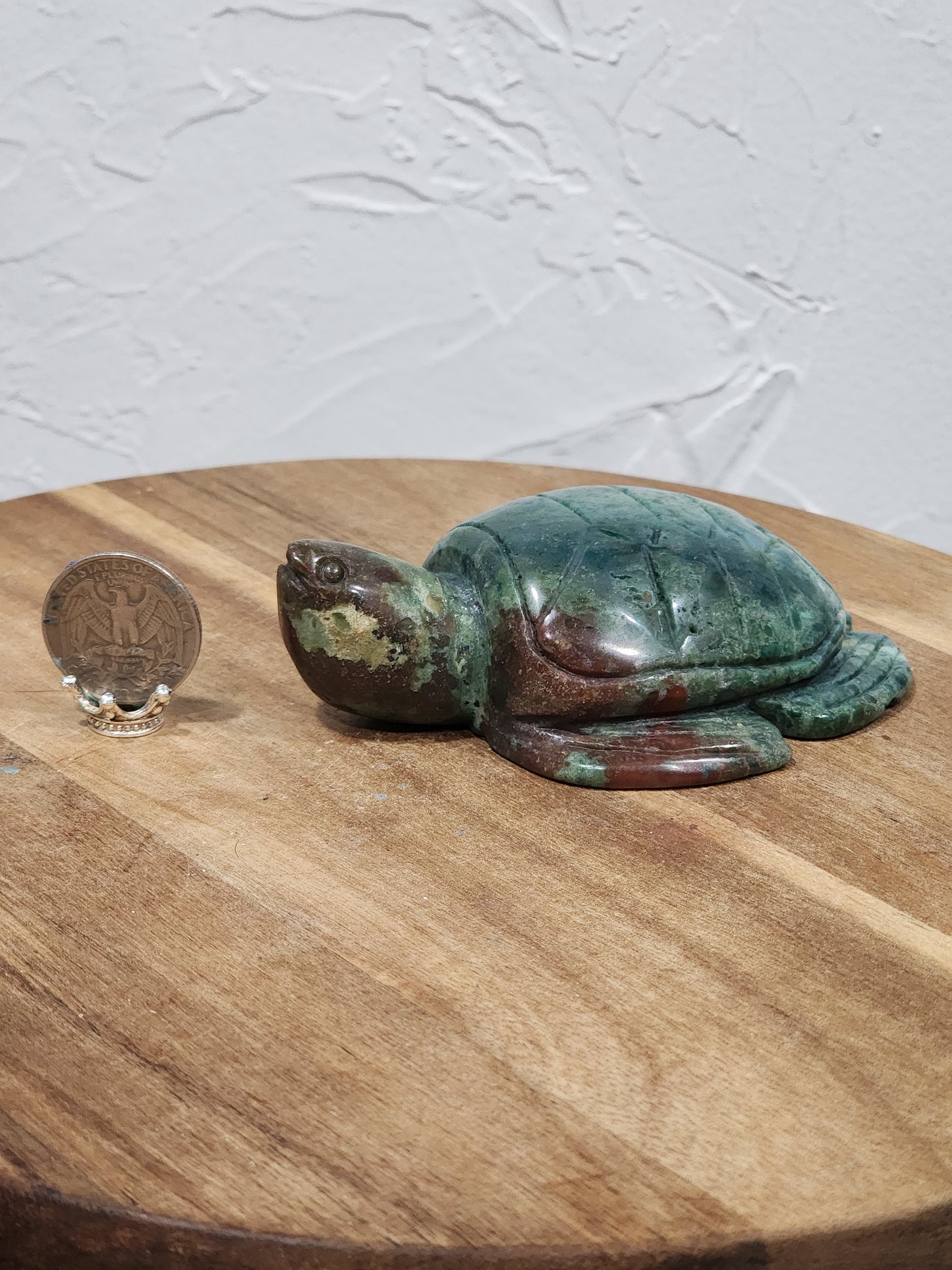 Ocean jasper turtle