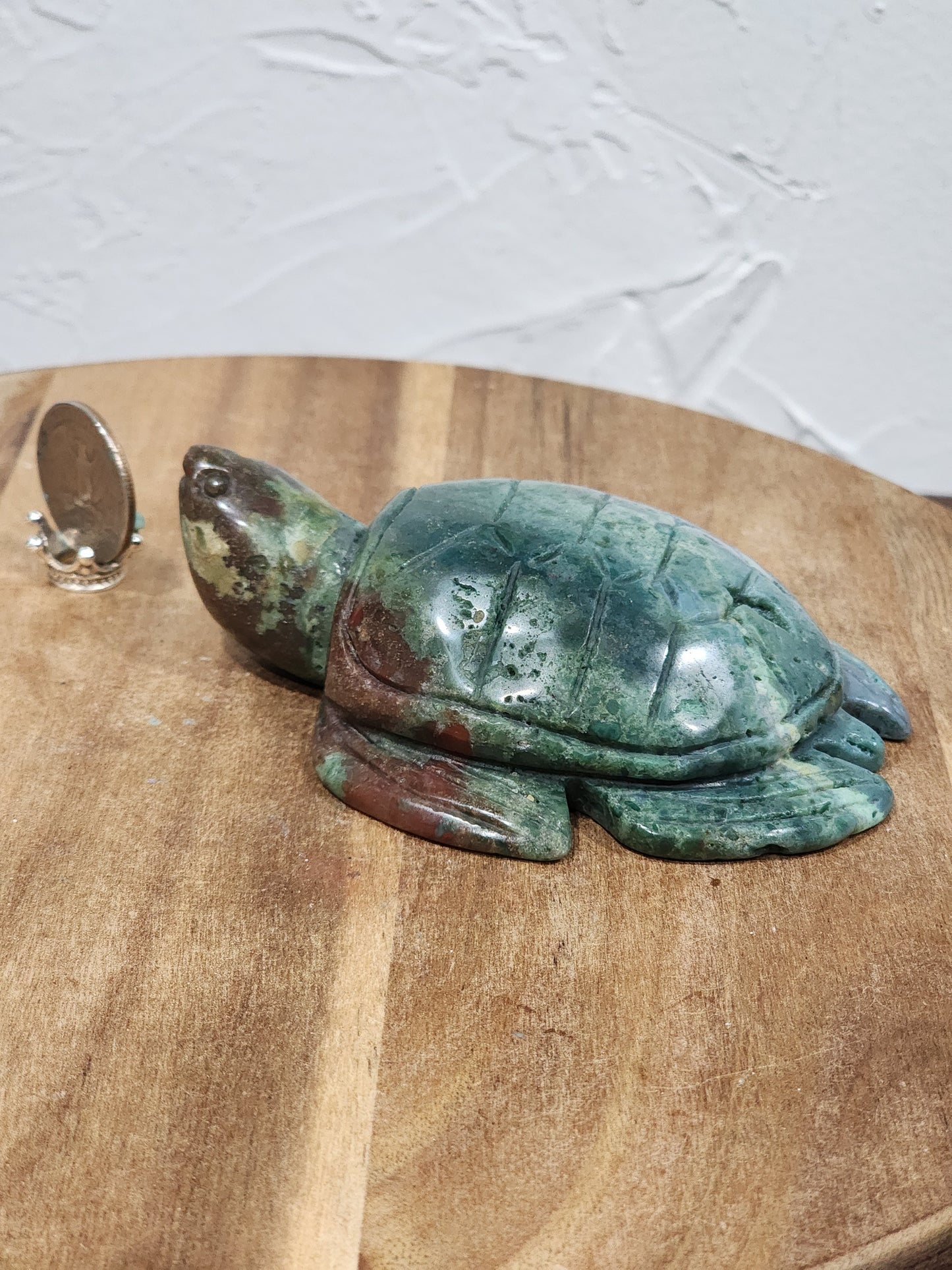 Ocean jasper turtle