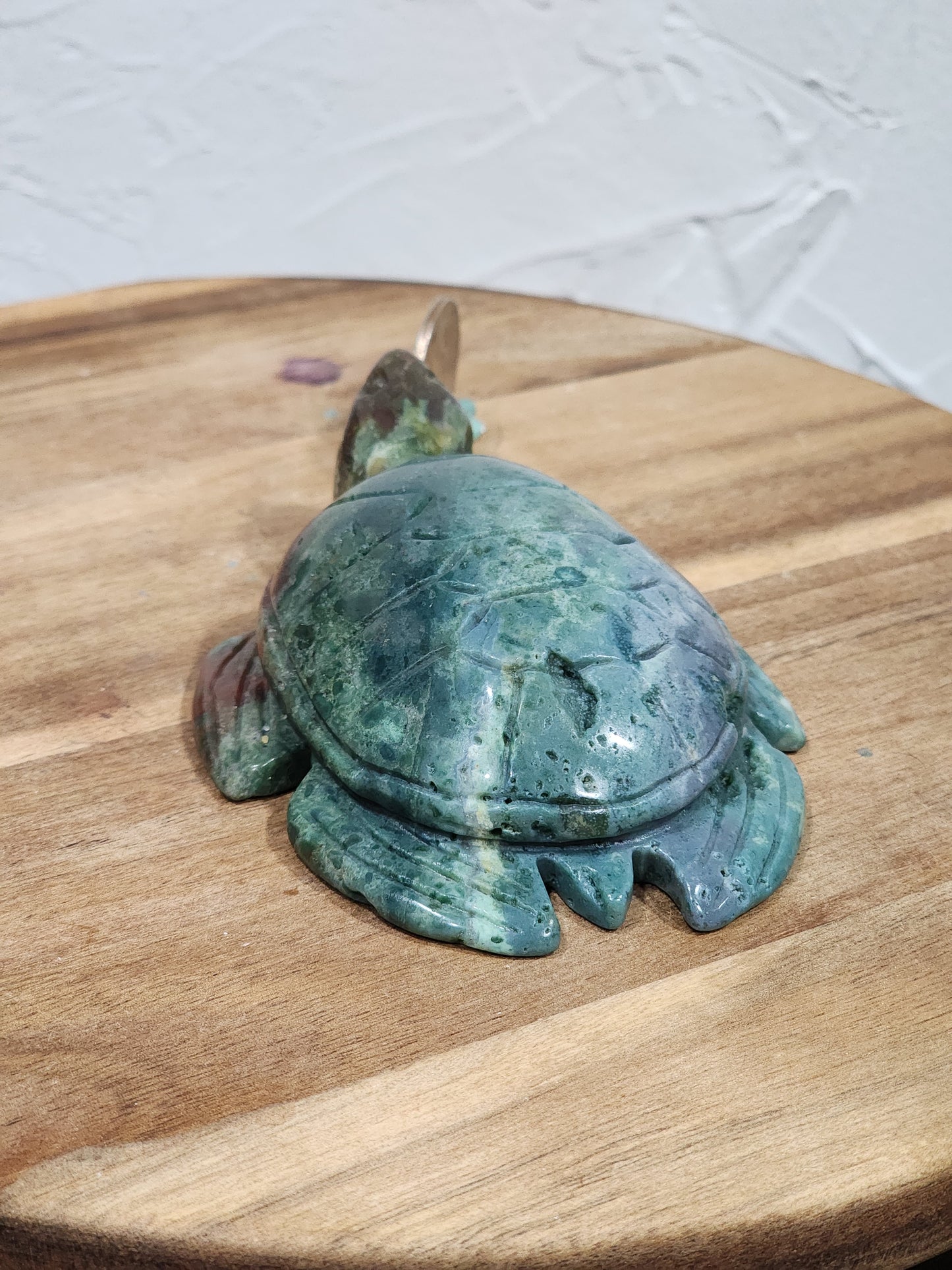 Ocean jasper turtle