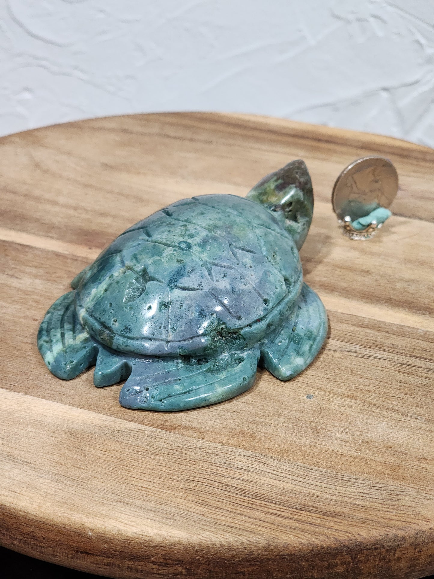 Ocean jasper turtle