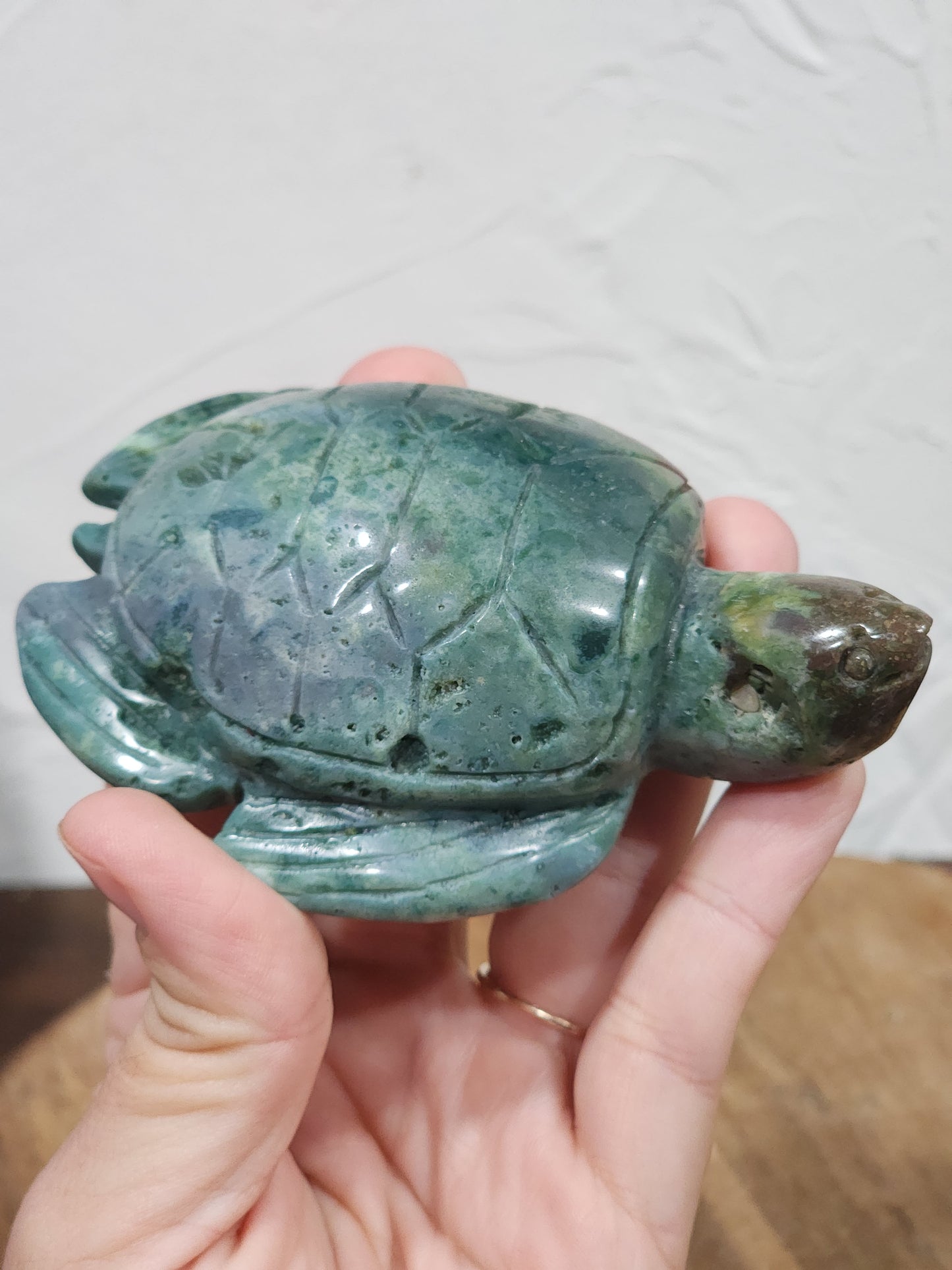 Ocean jasper turtle