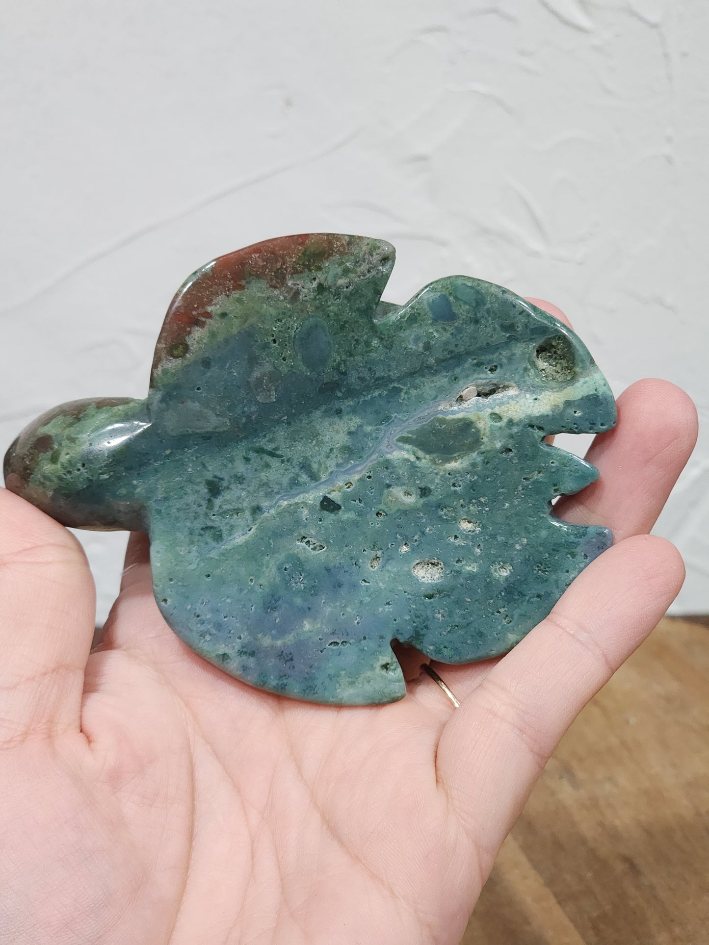 Ocean jasper turtle