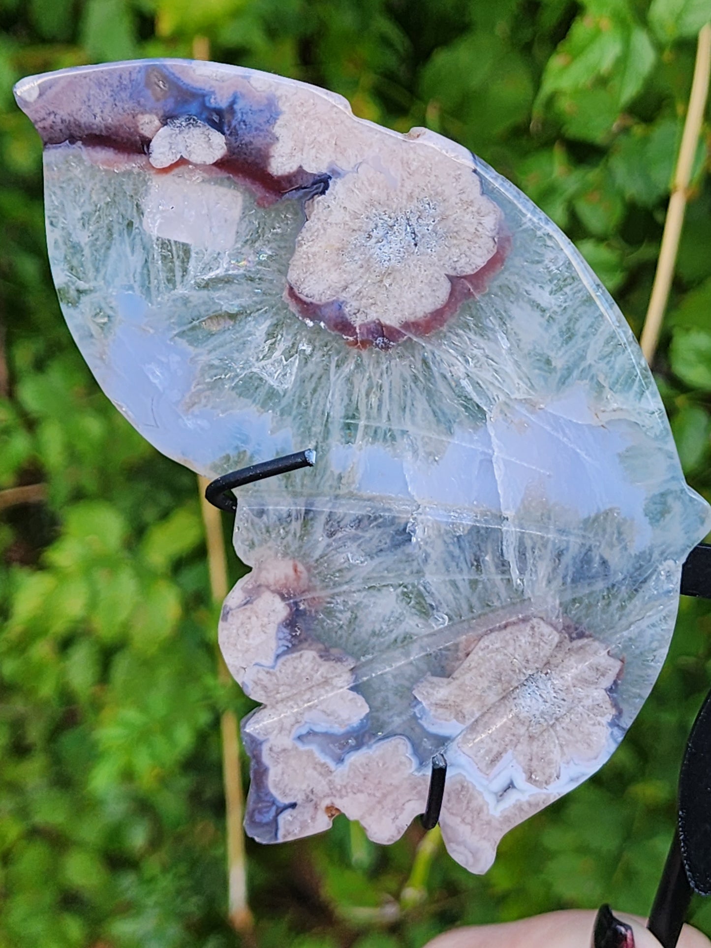 Green Chlorite quartz with flower agate wings