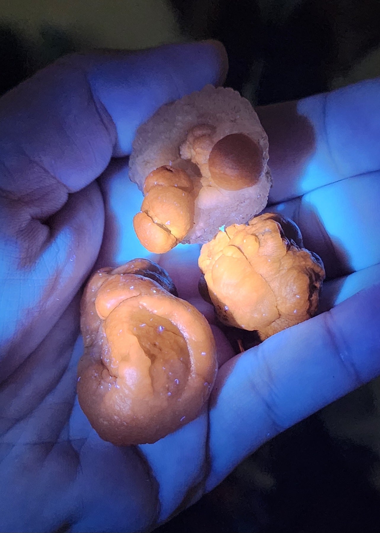 Truffle Chalcedony aka Panda Agate