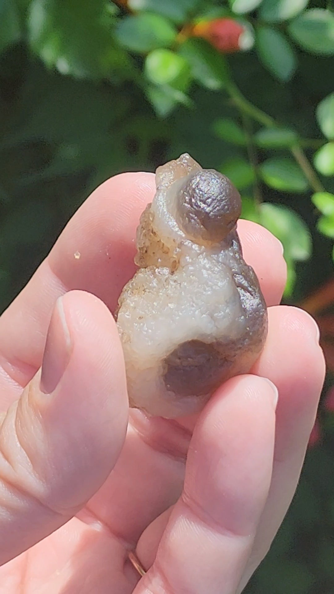 Truffle Chalcedony aka Panda Agate
