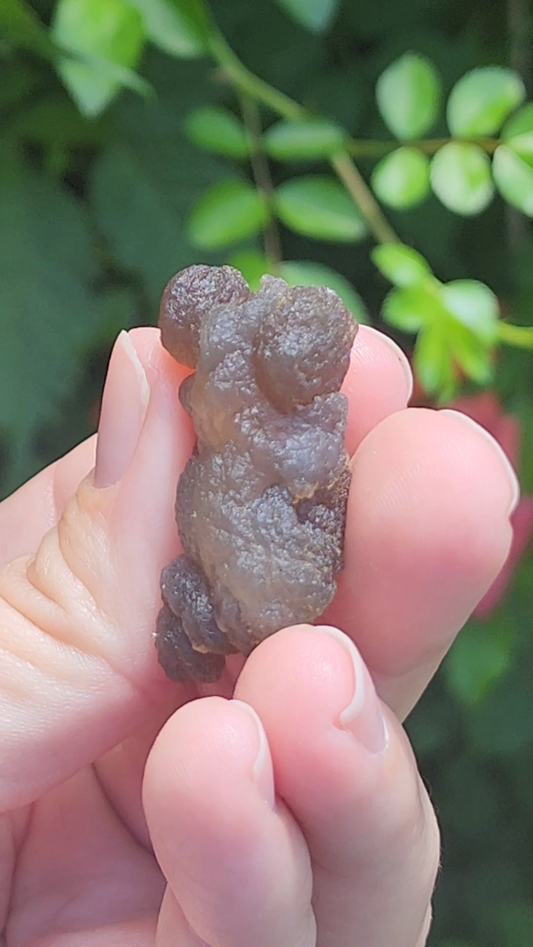Truffle Chalcedony aka Panda Agate