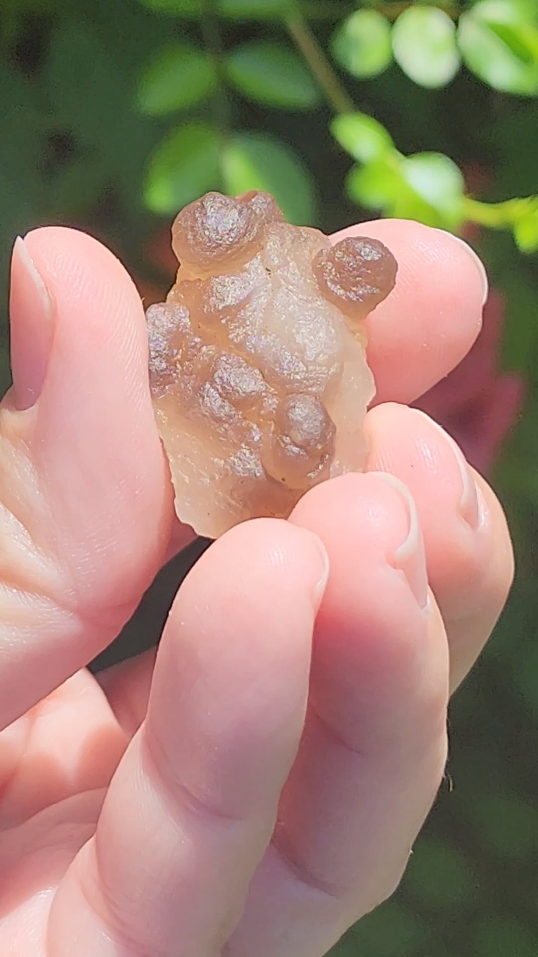 Truffle Chalcedony aka Panda Agate