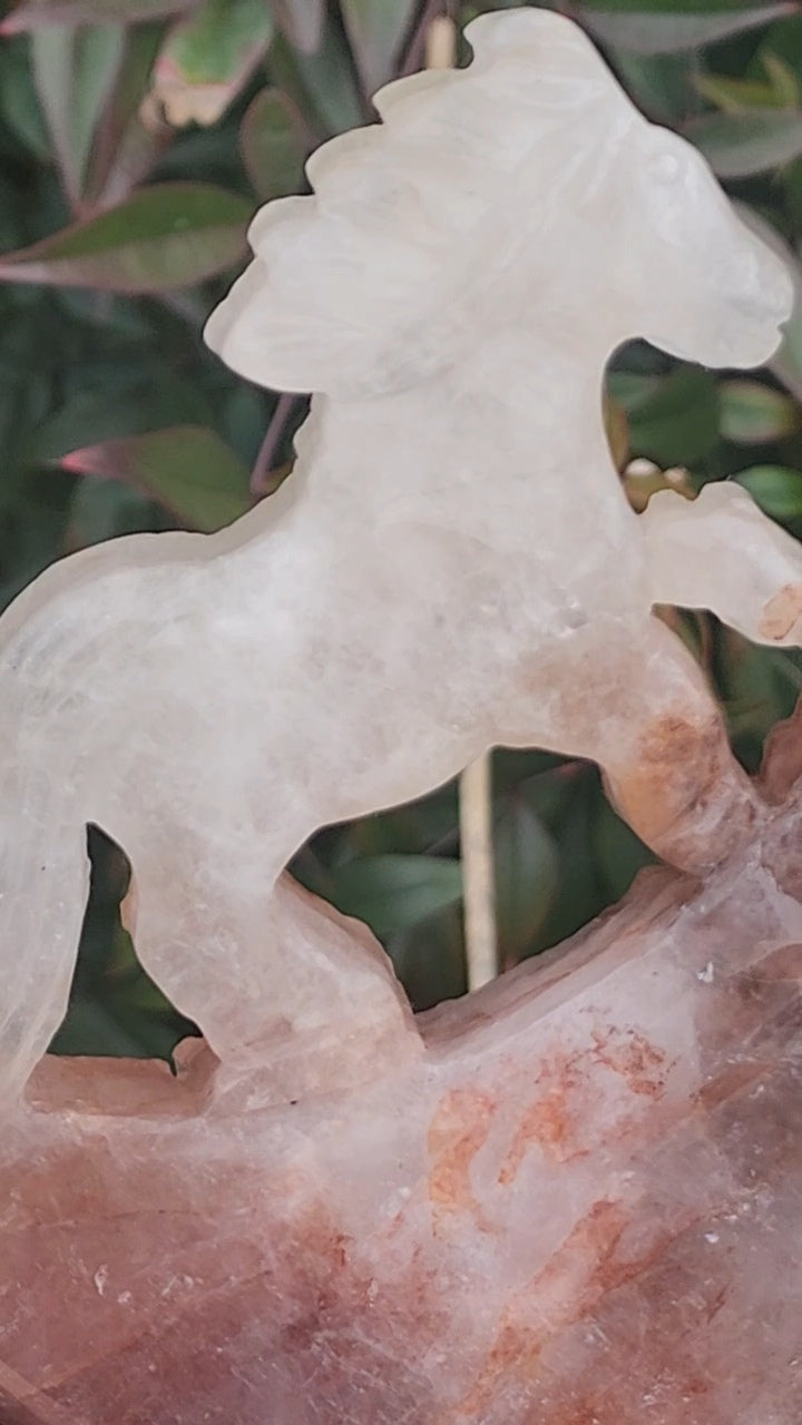 Fire quartz horse on moon