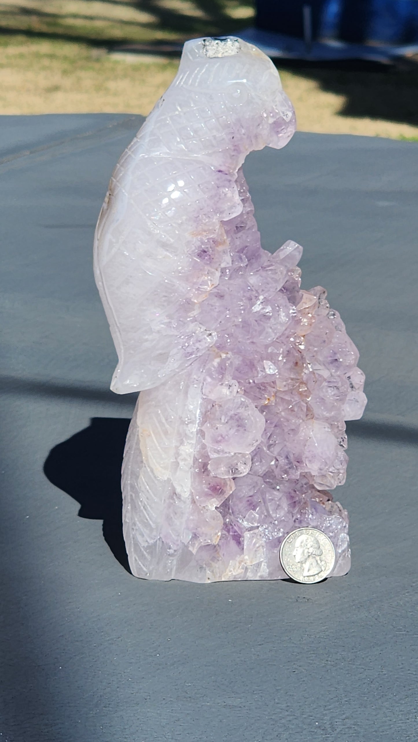 Amethyst cluster parrot carving