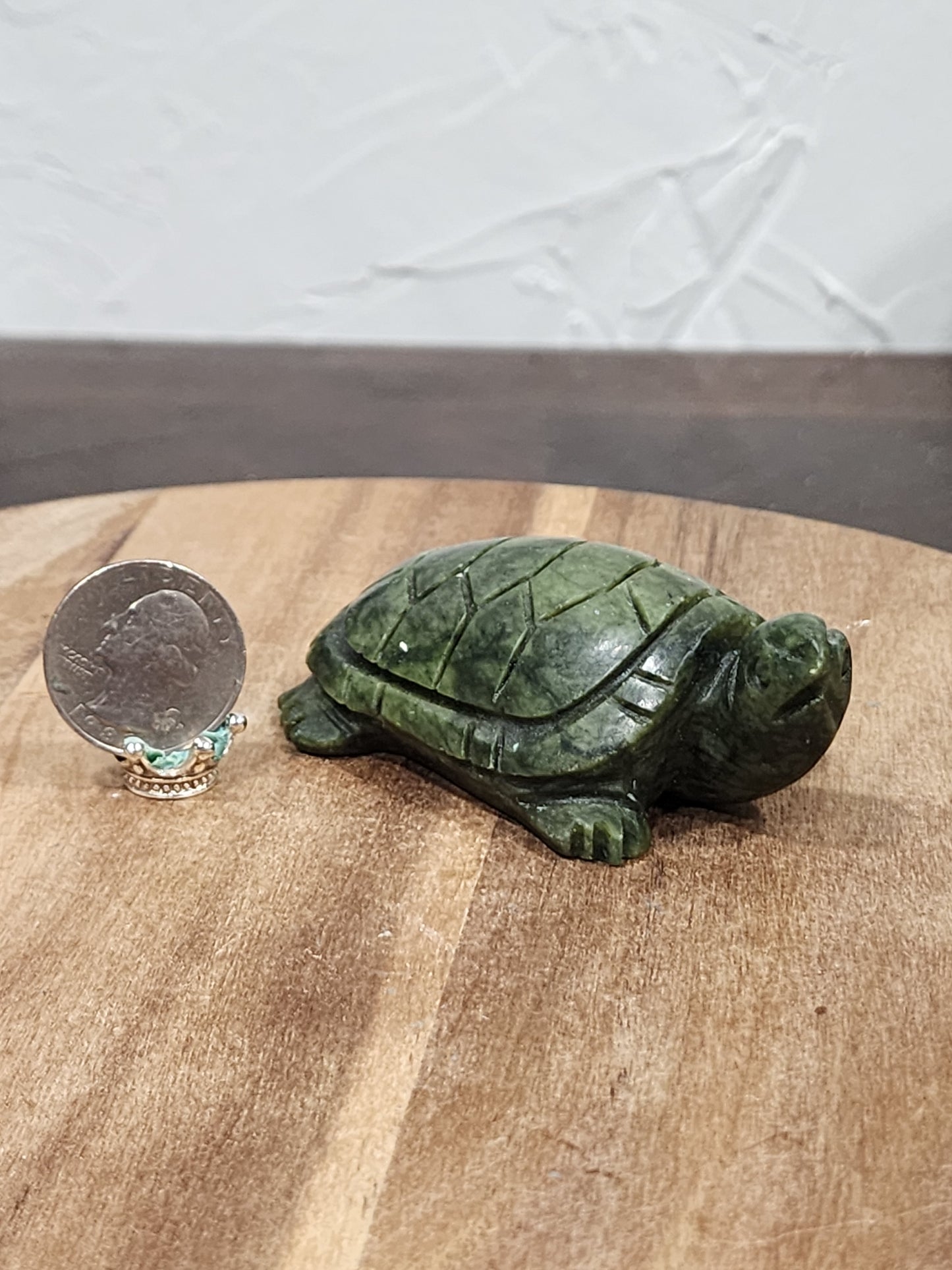 Serpentine turtle