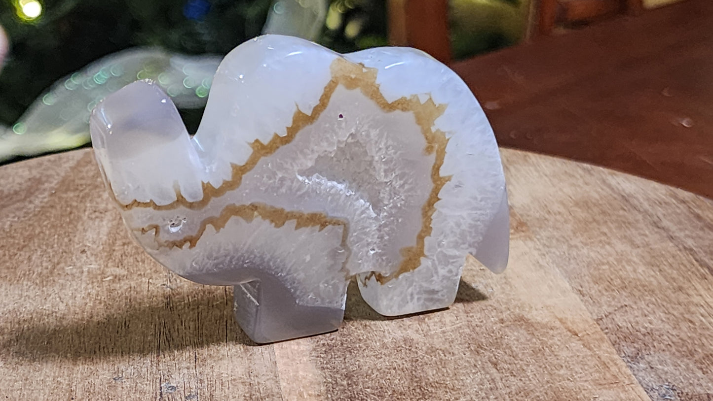 Agate elephant with druzy cave