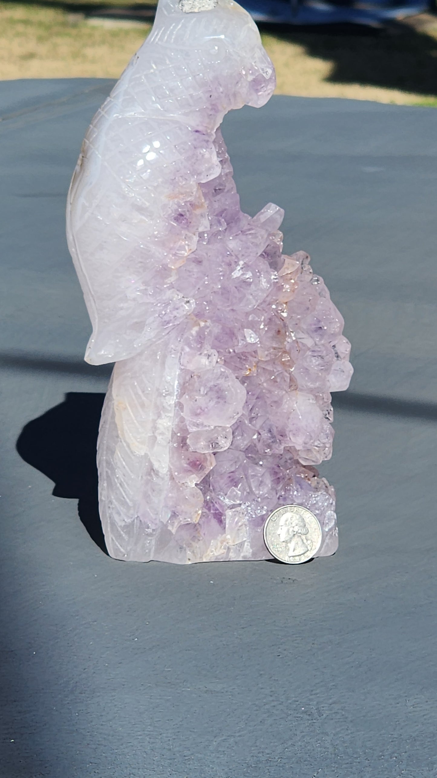 Amethyst cluster parrot carving