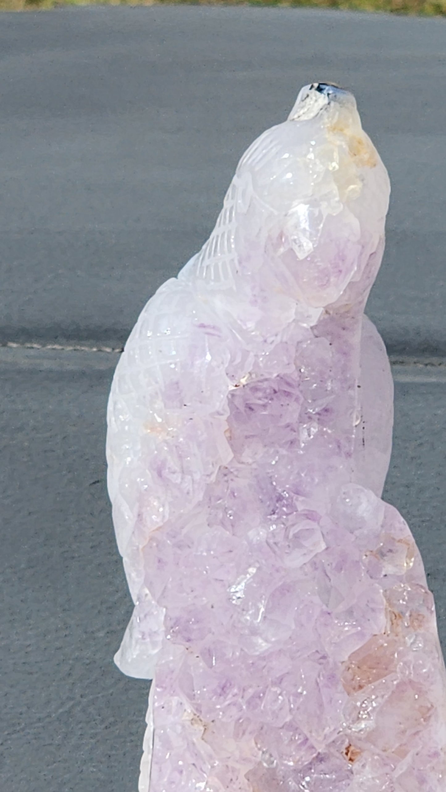 Amethyst cluster parrot carving