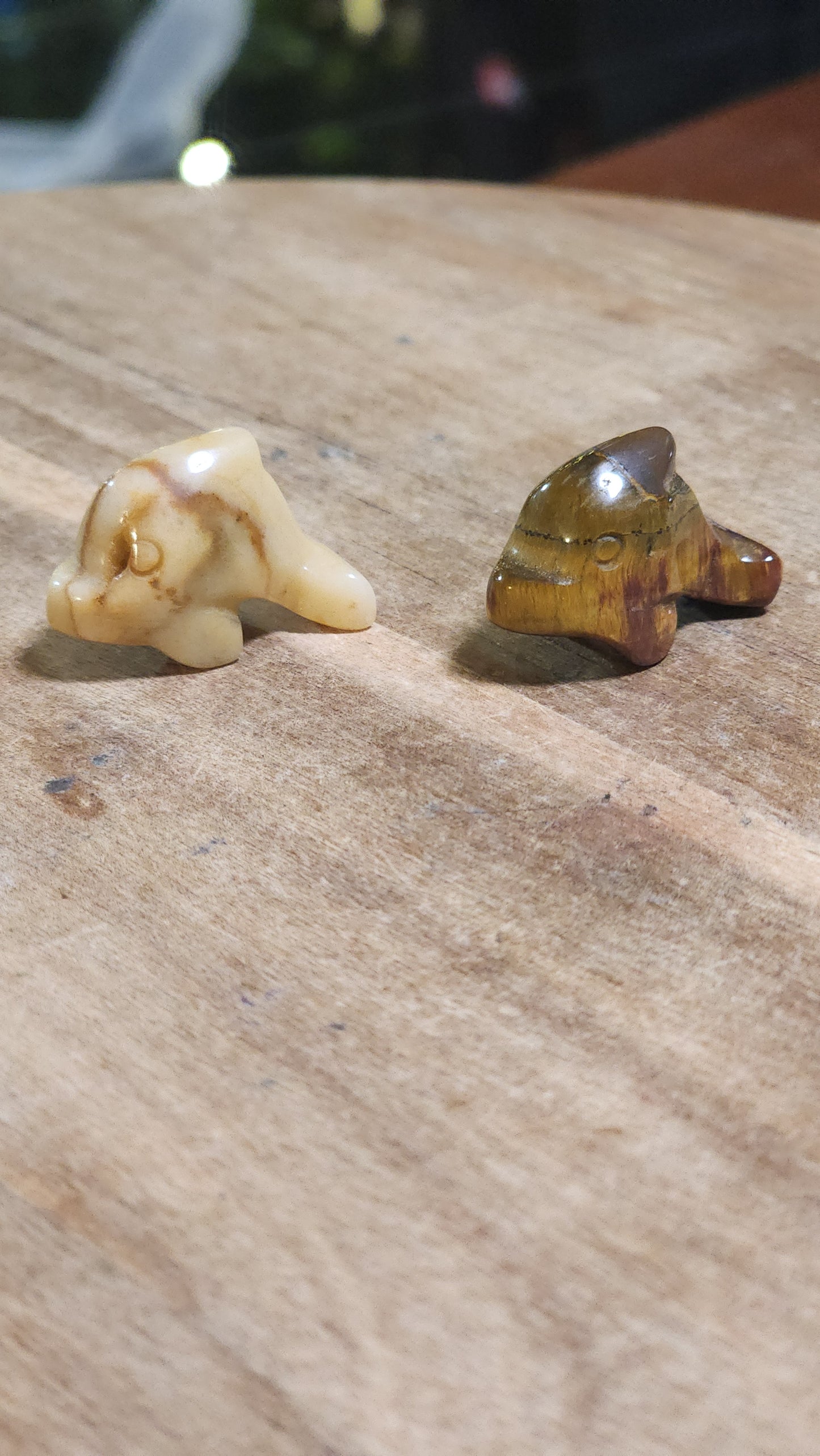 Mini dolphin carving