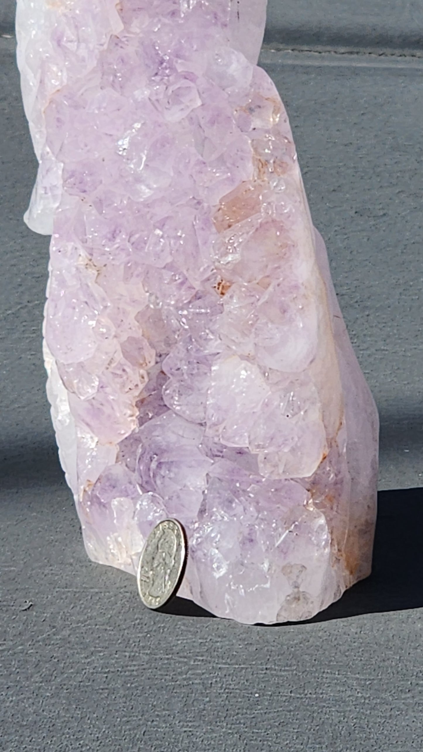 Amethyst cluster parrot carving
