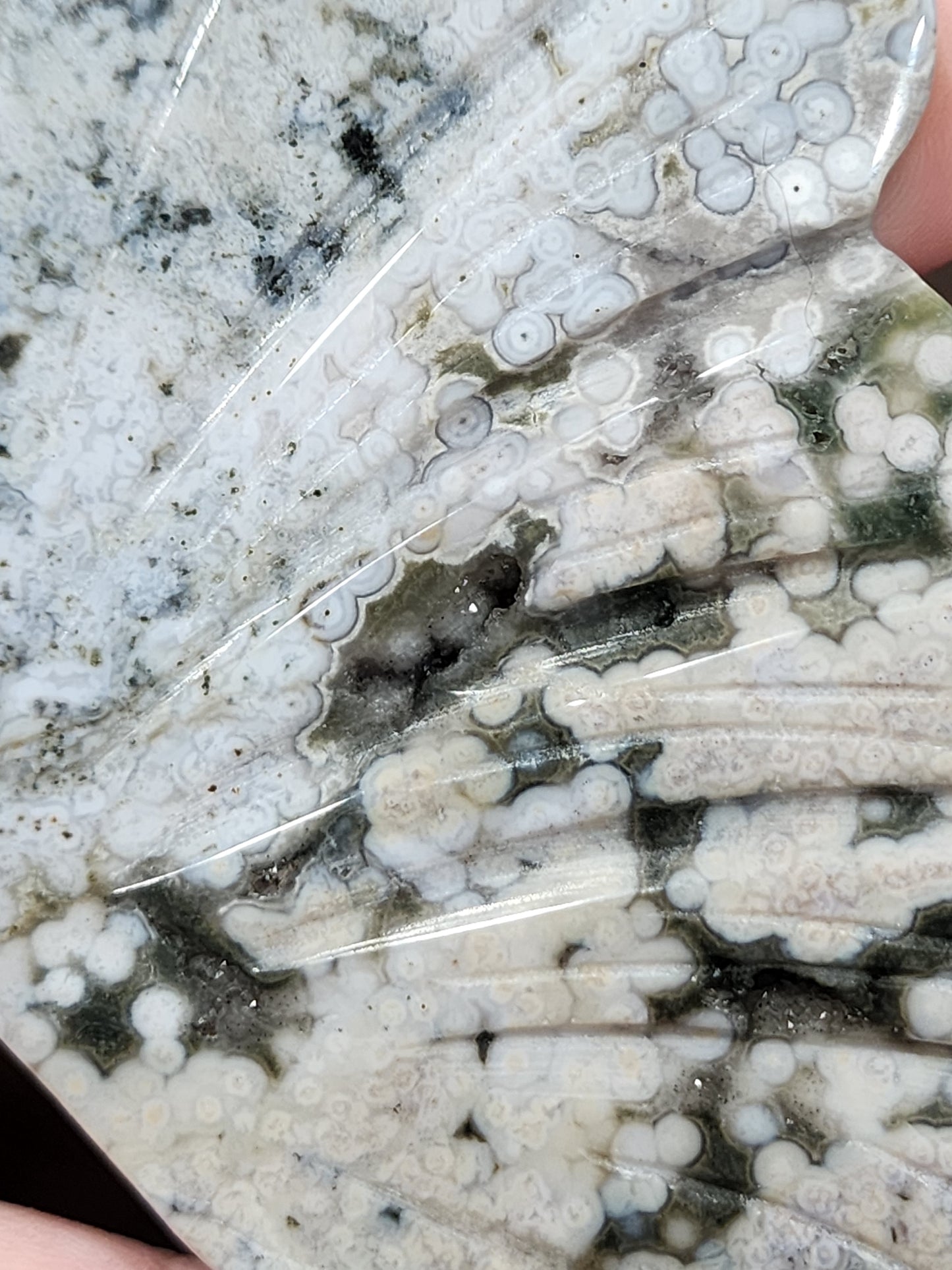 8th vein Ocean Jasper wings with sugar druzy