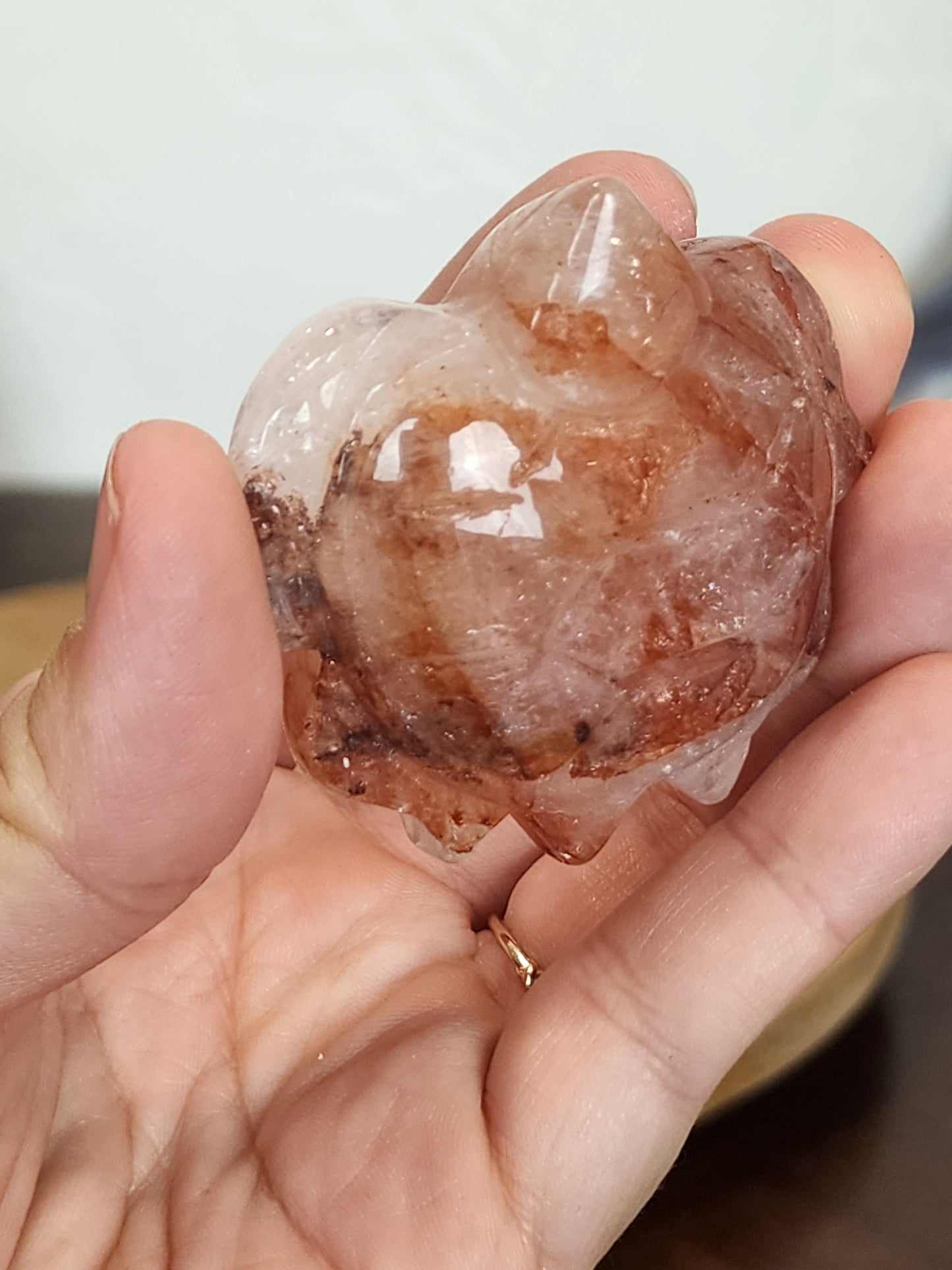 Fire Quartz Turtle