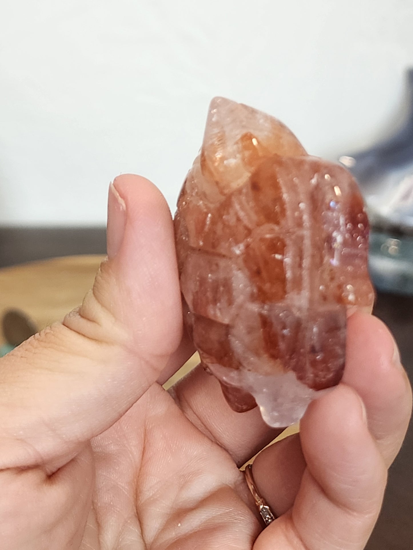 Fire Quartz Turtle