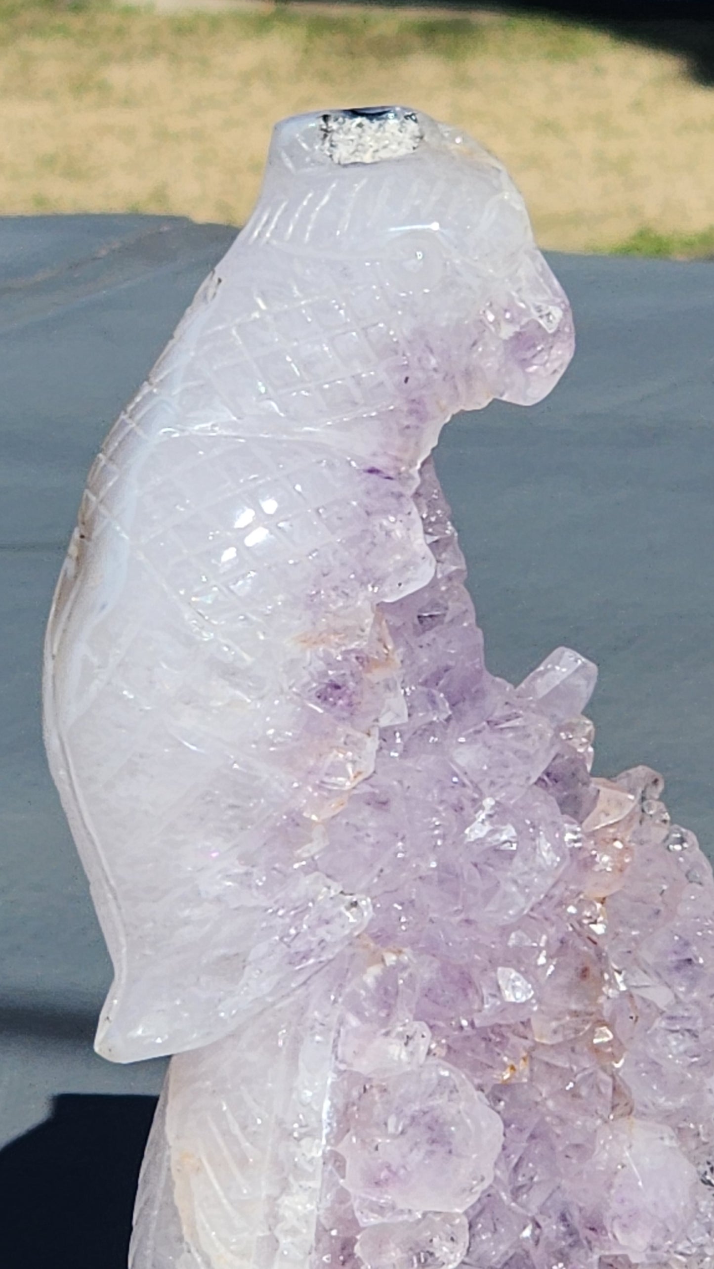 Amethyst cluster parrot carving