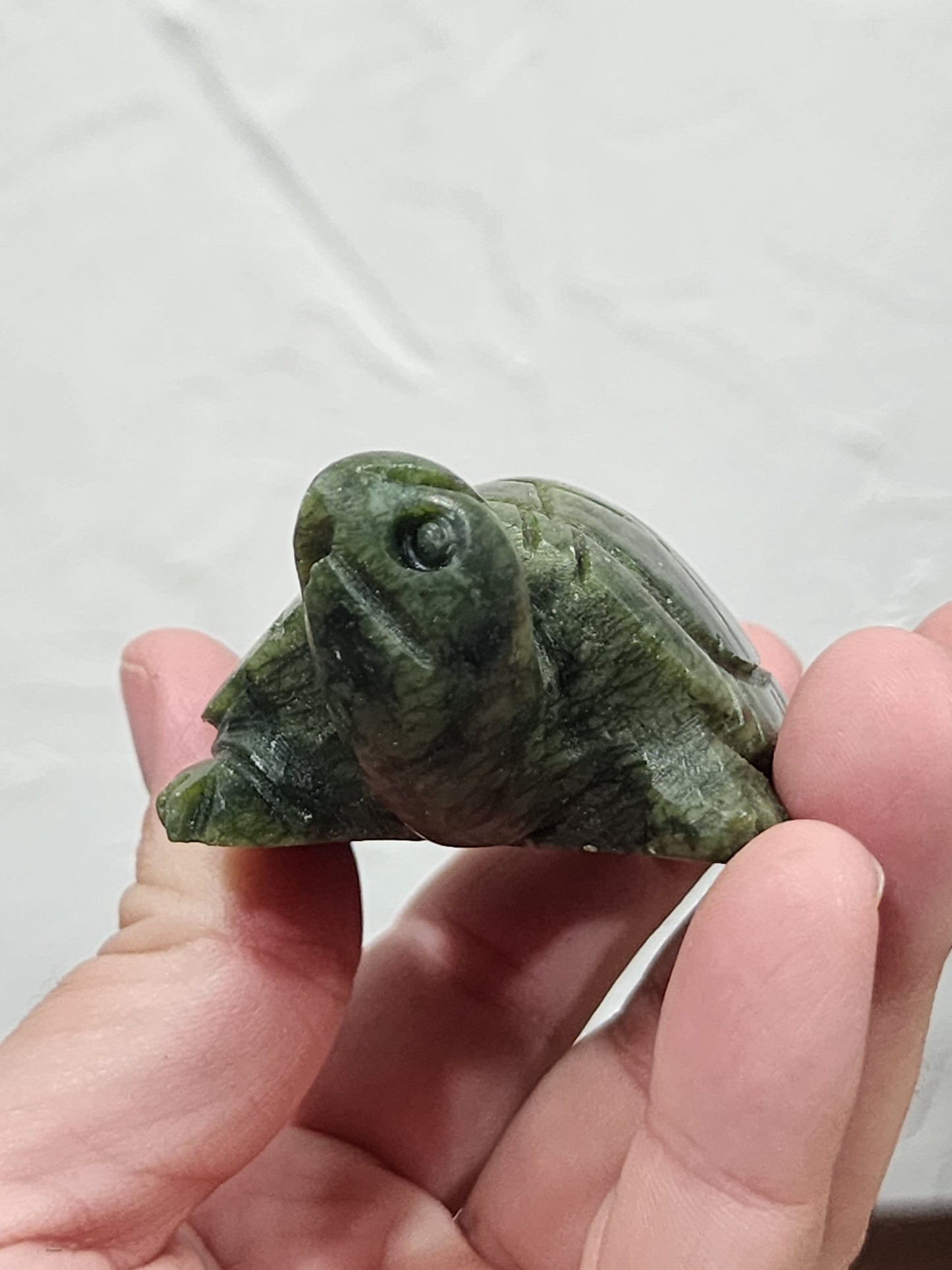 Serpentine turtle