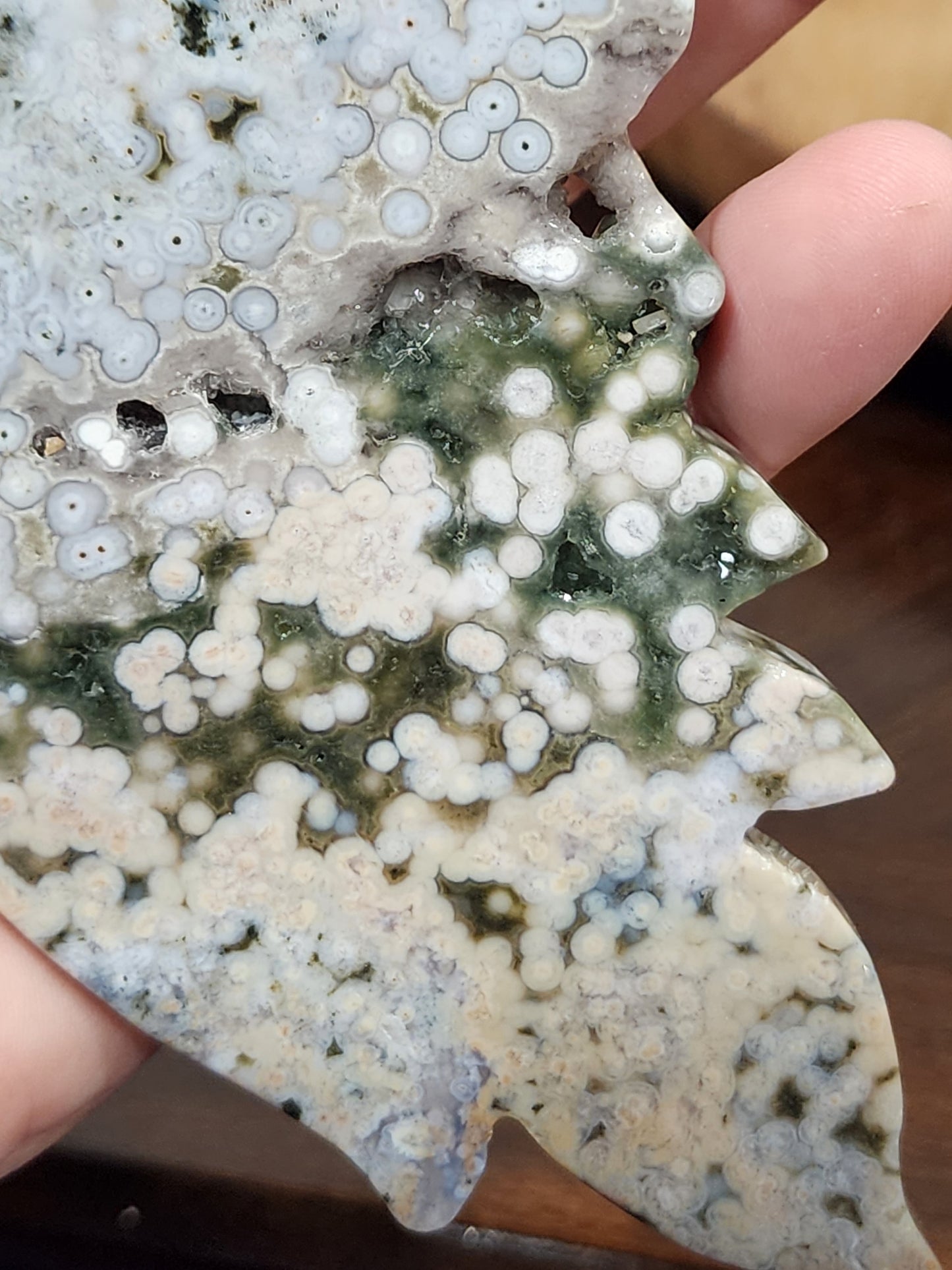 8th vein Ocean Jasper wings with sugar druzy