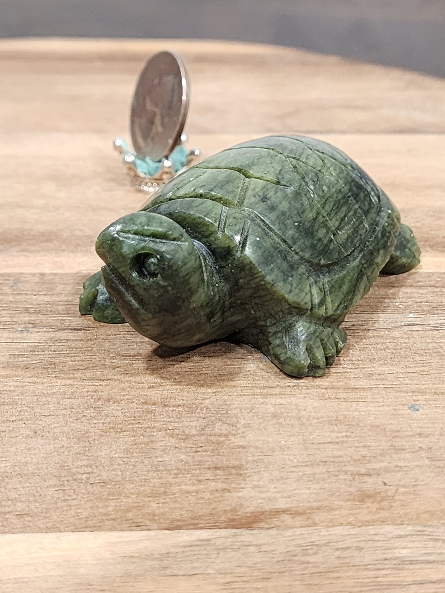 Serpentine turtle