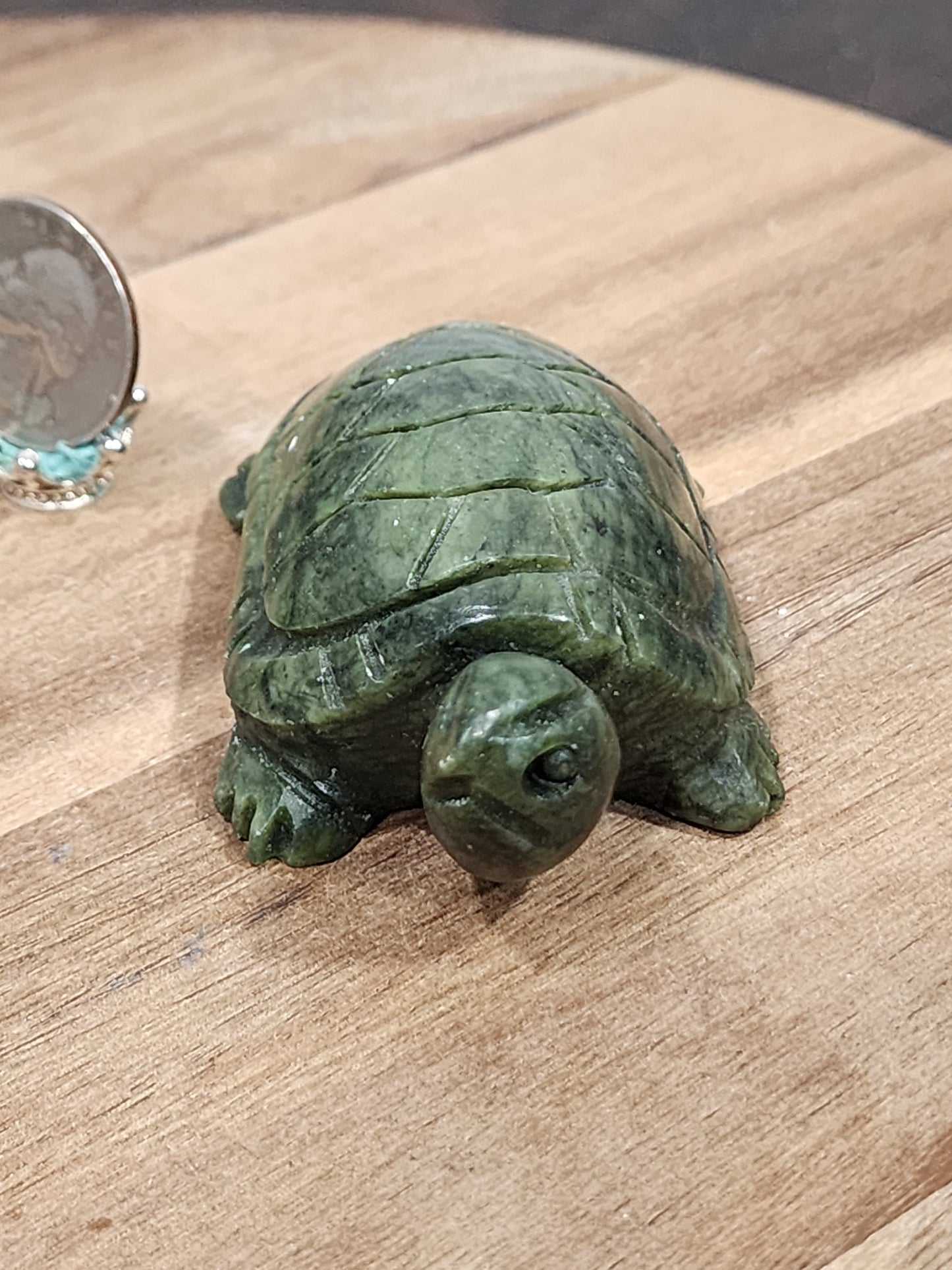 Serpentine turtle