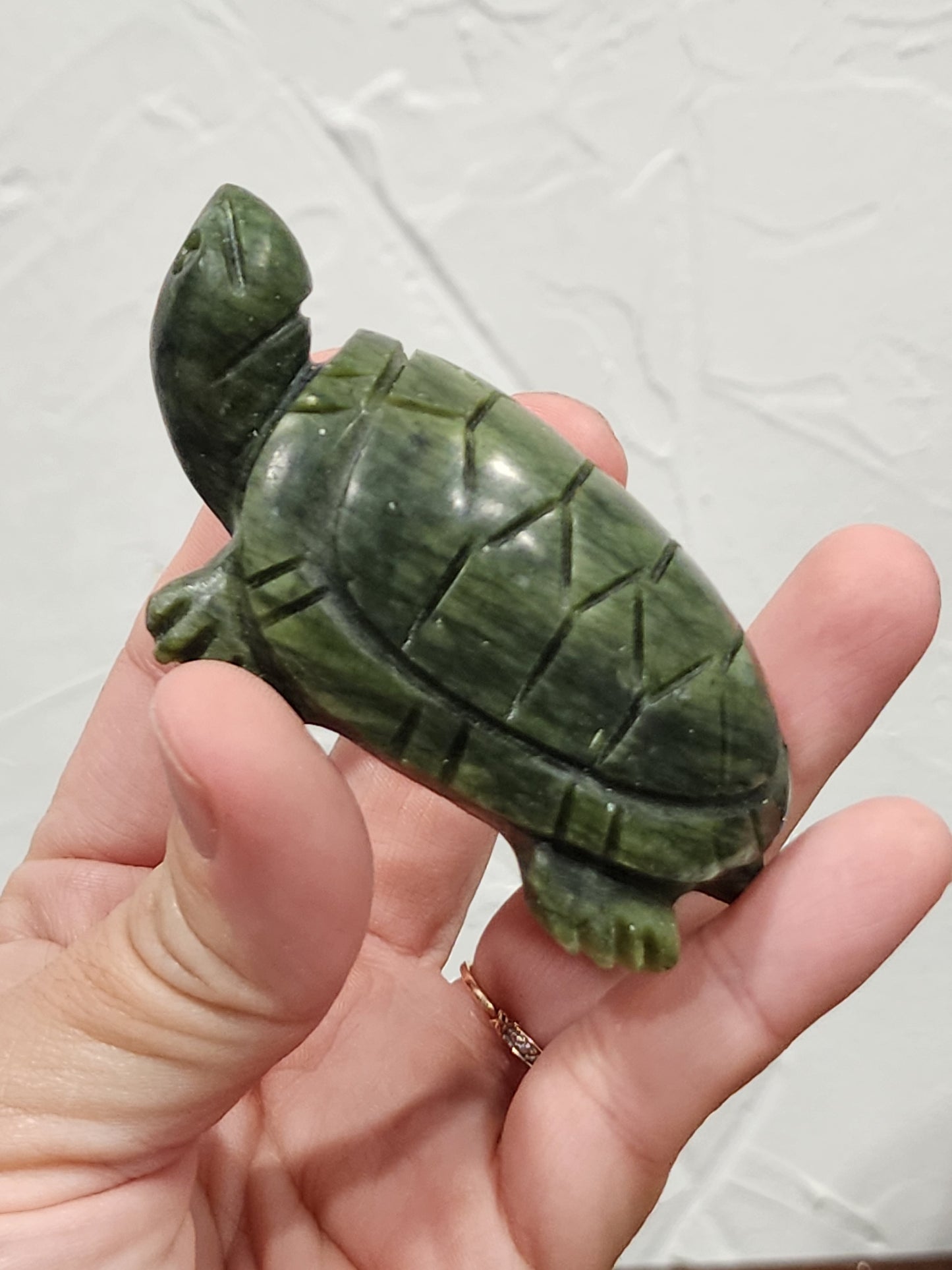 Serpentine turtle