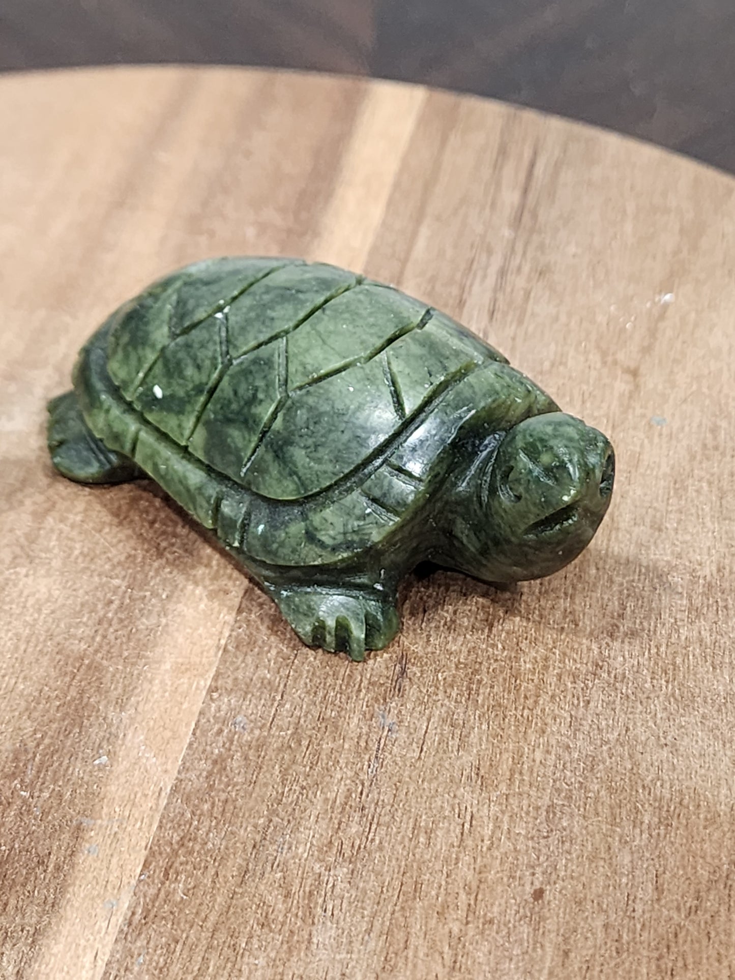 Serpentine turtle