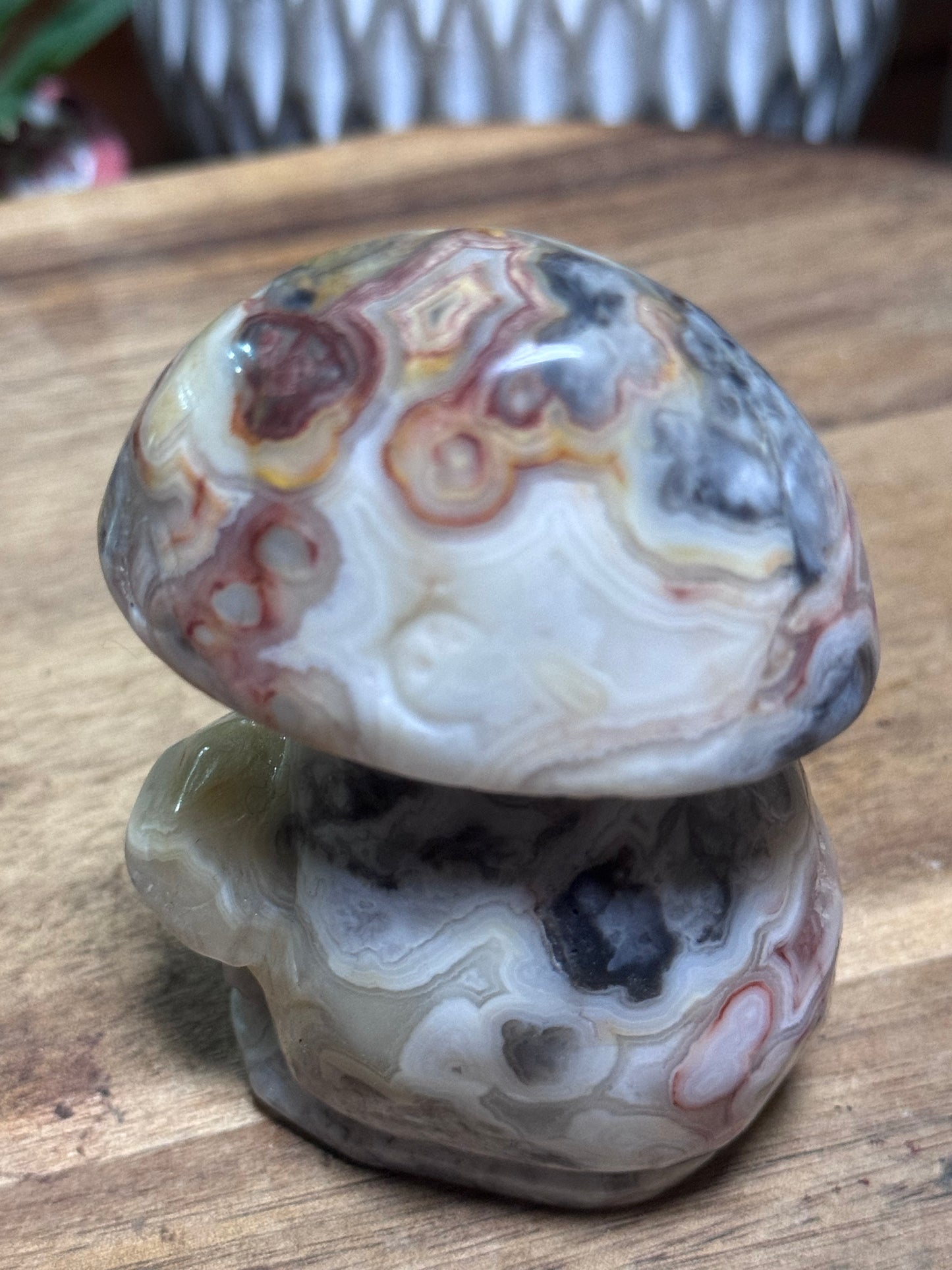 Crazy lace agate mushroom