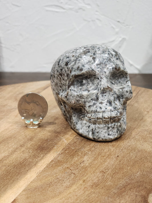 Yooperlite Skull