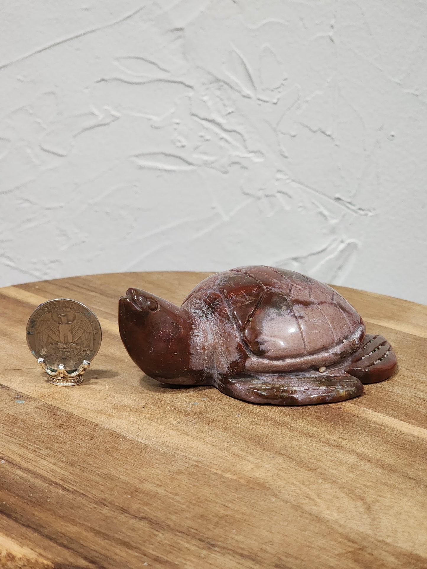 Ocean jasper turtle