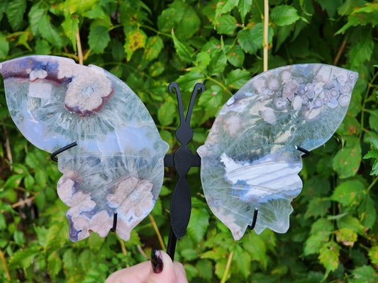 Green Chlorite quartz with flower agate wings