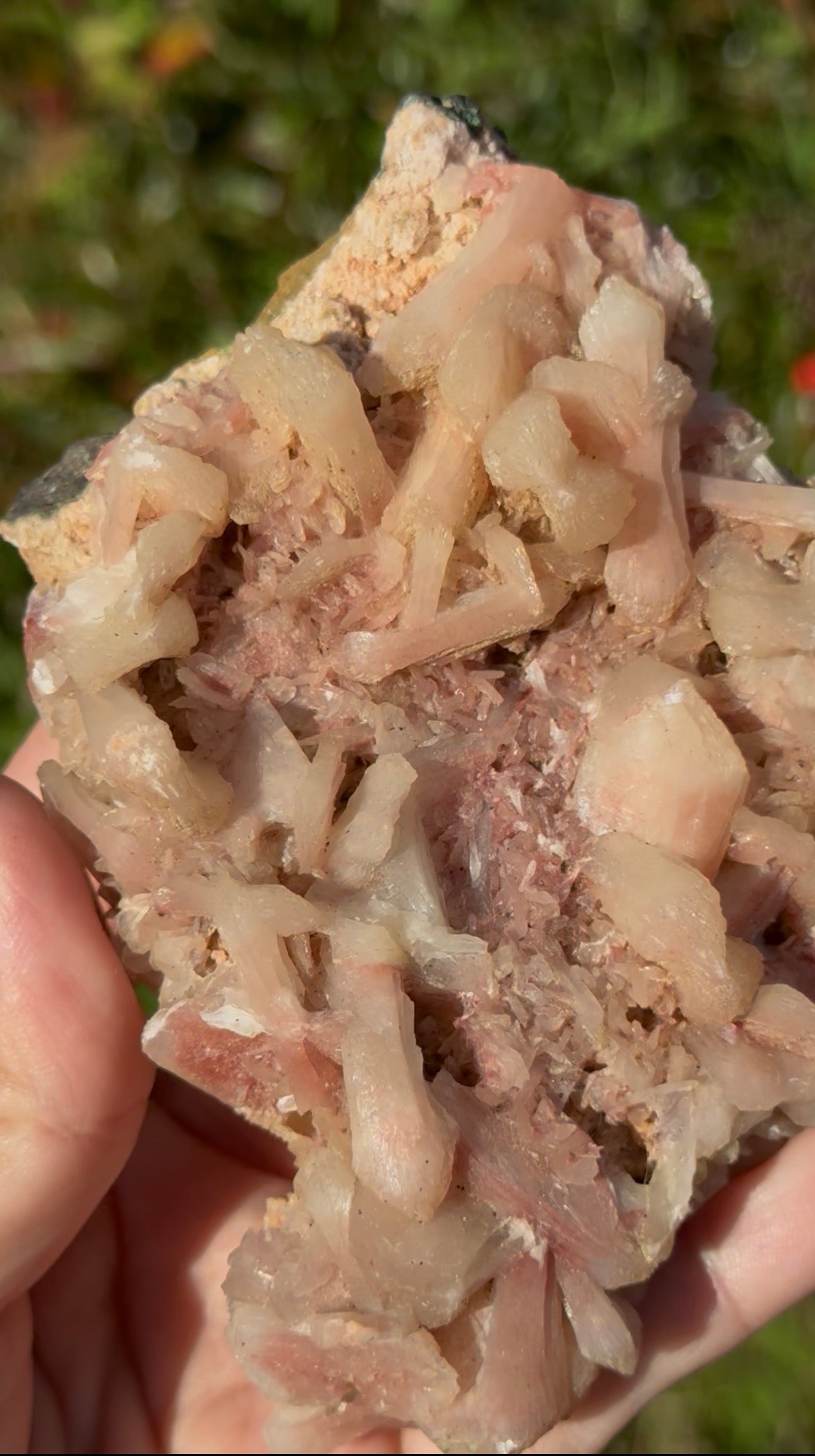 Pink Stilbite specimen
