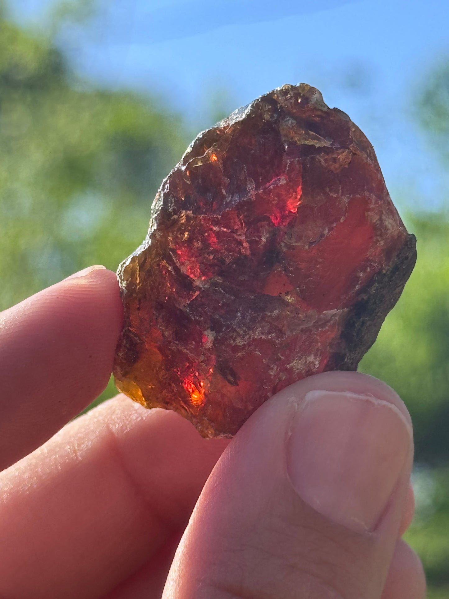 Amber raw