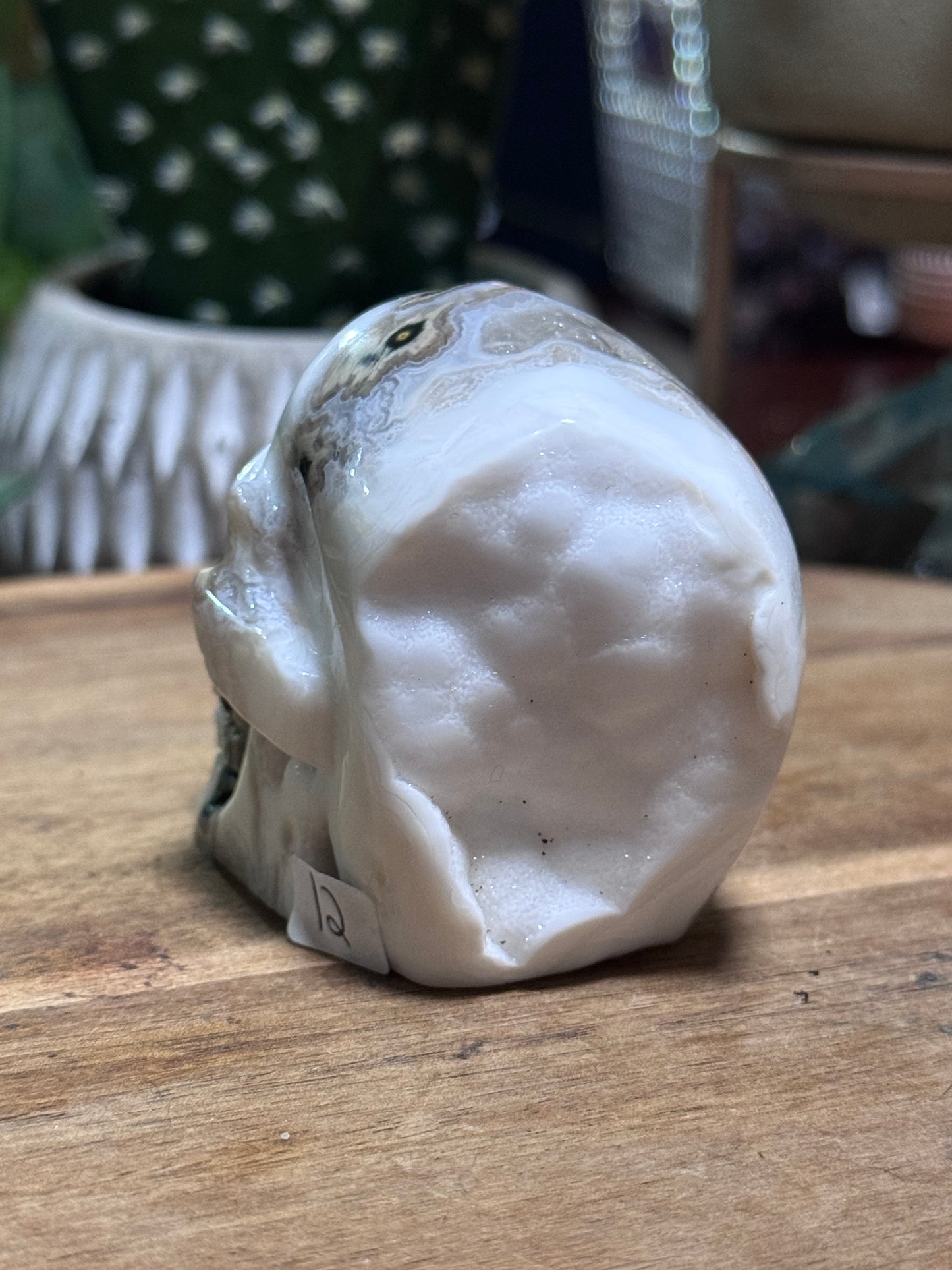 White ocean jasper skull