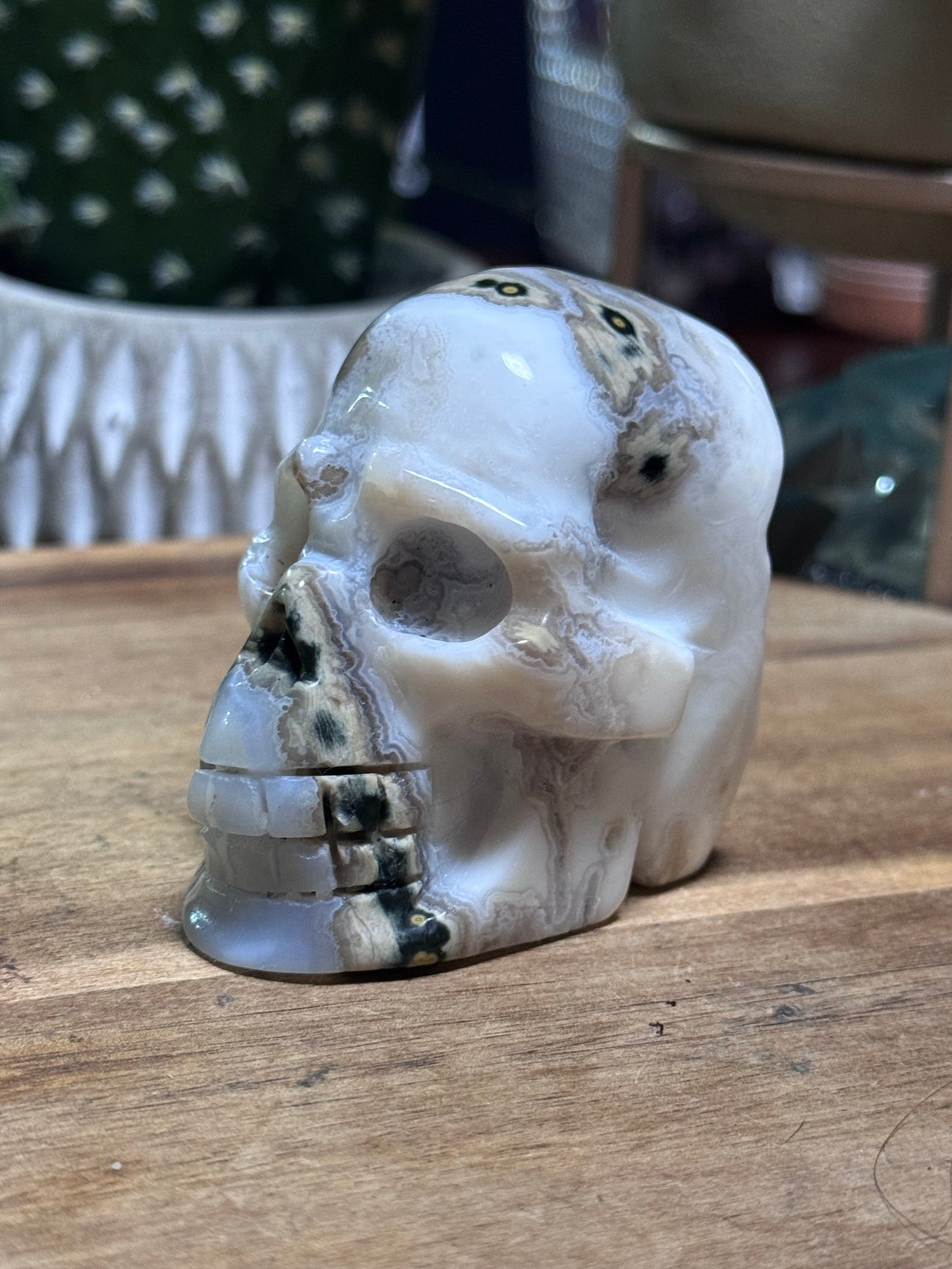 White ocean jasper skull
