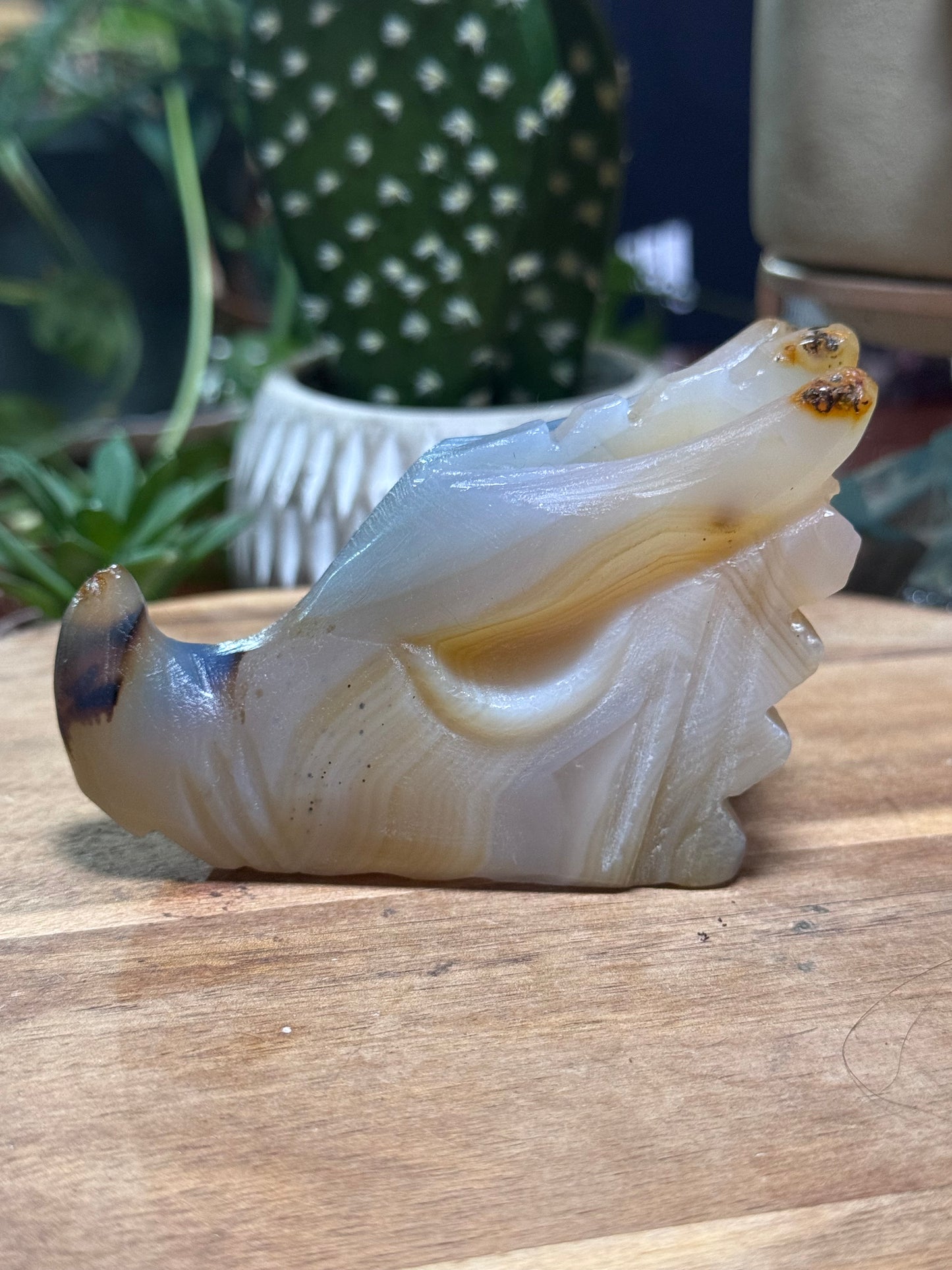 Agate dragon head