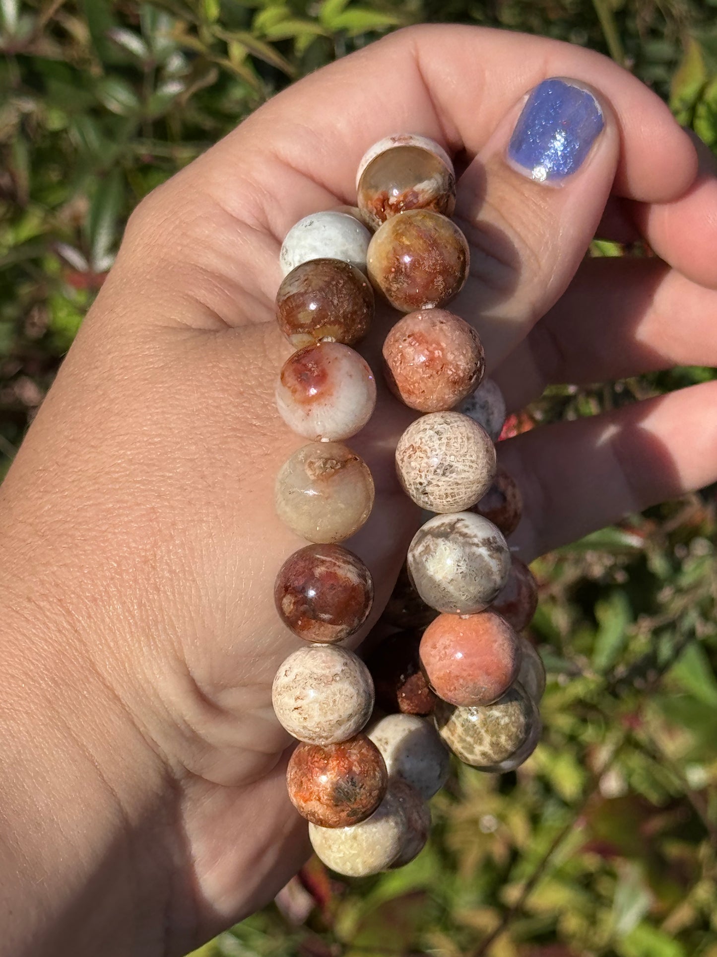 Fossilized coral bracelet