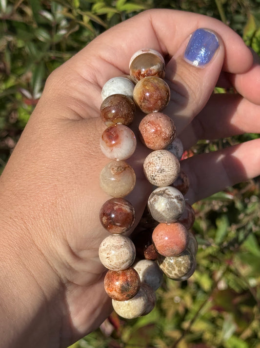 Fossilized coral bracelet