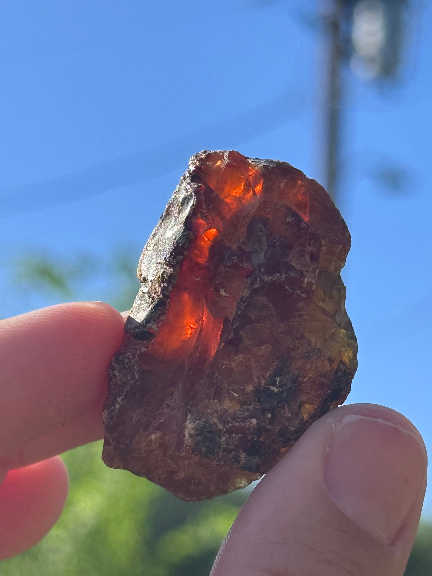 Amber raw