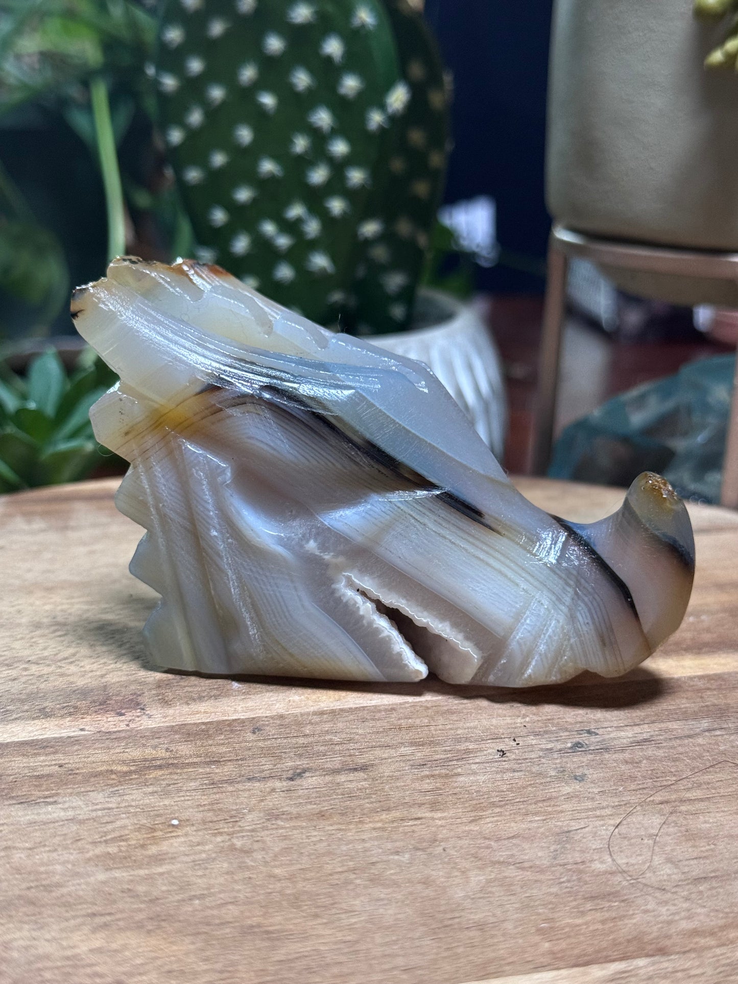 Agate dragon head
