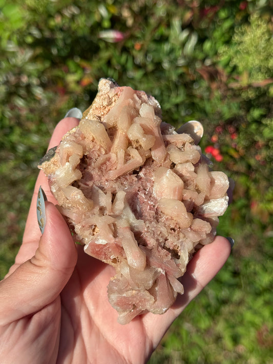Pink Stilbite specimen