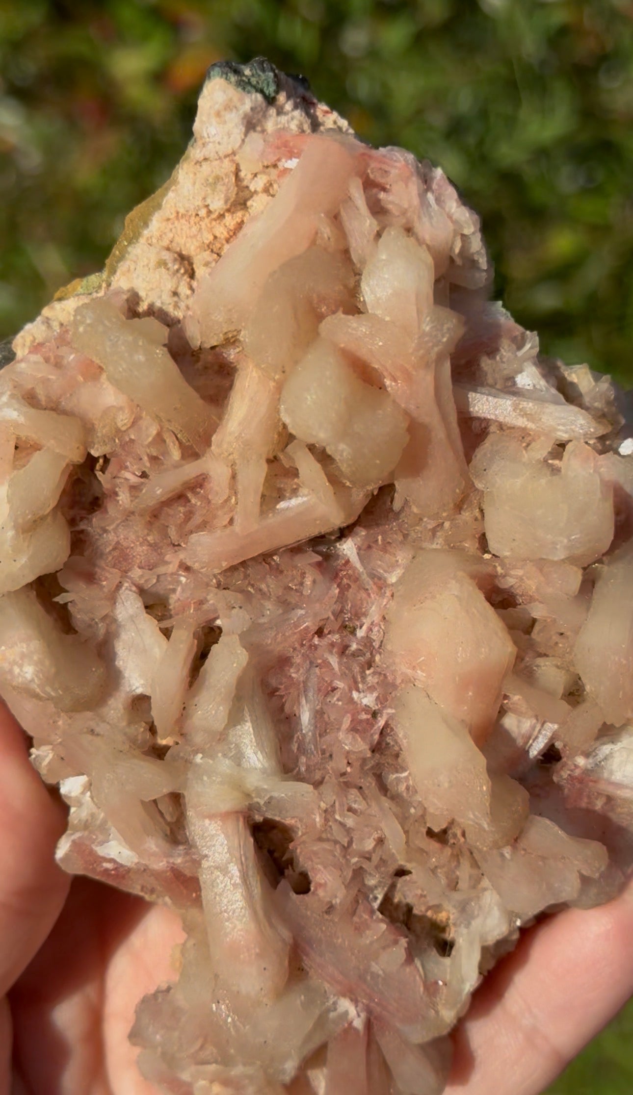 Pink Stilbite specimen