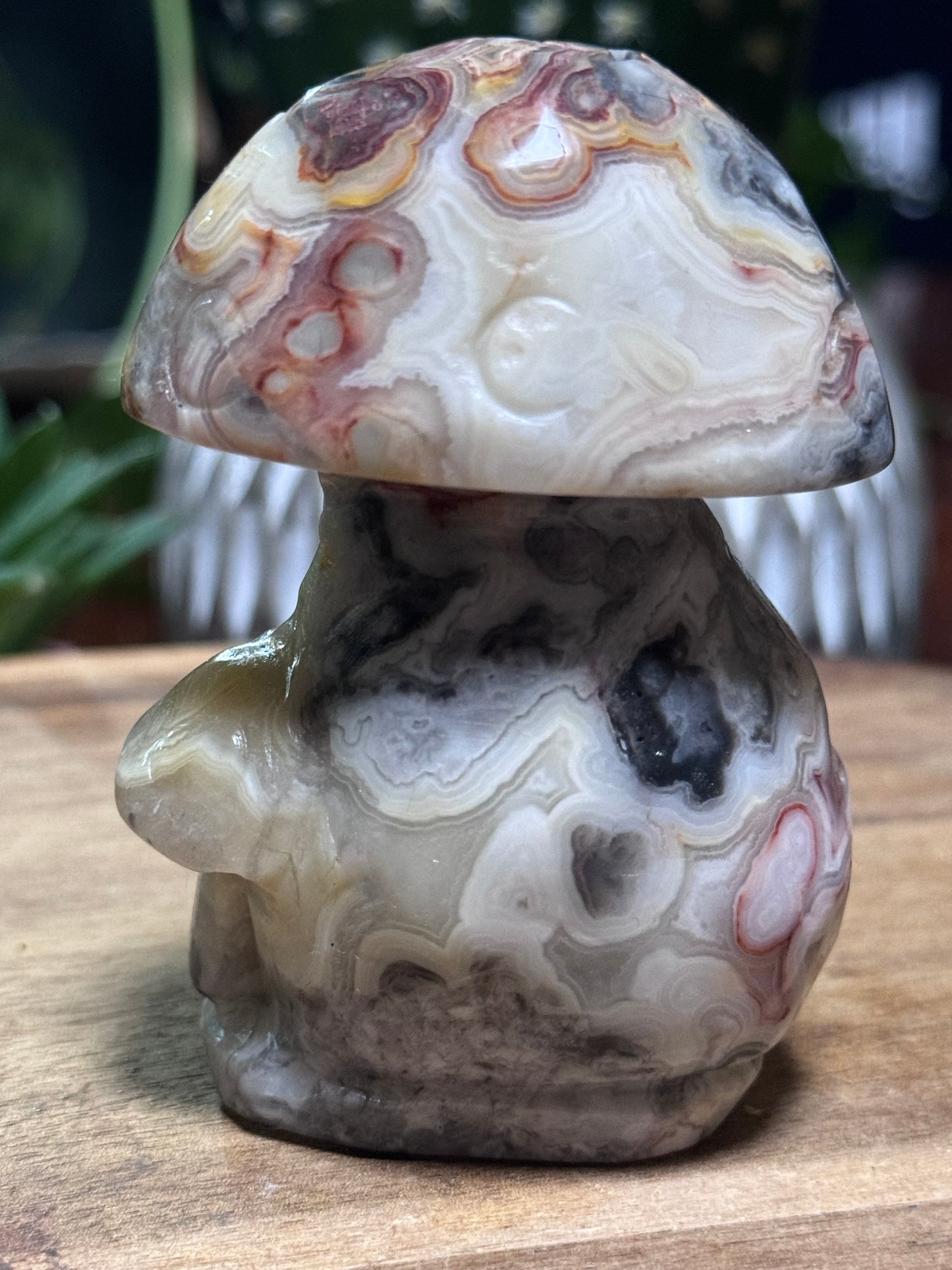 Crazy lace agate mushroom