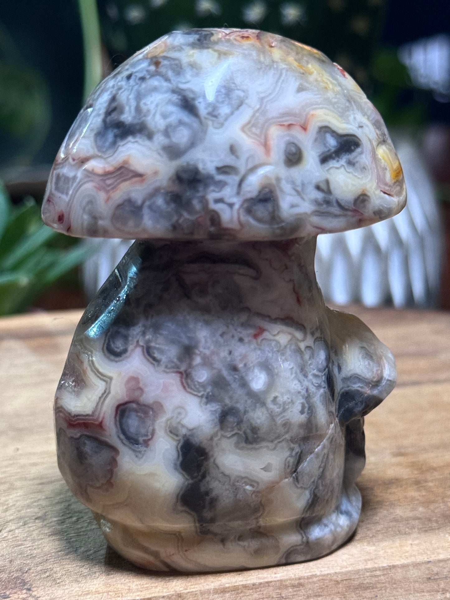 Crazy lace agate mushroom